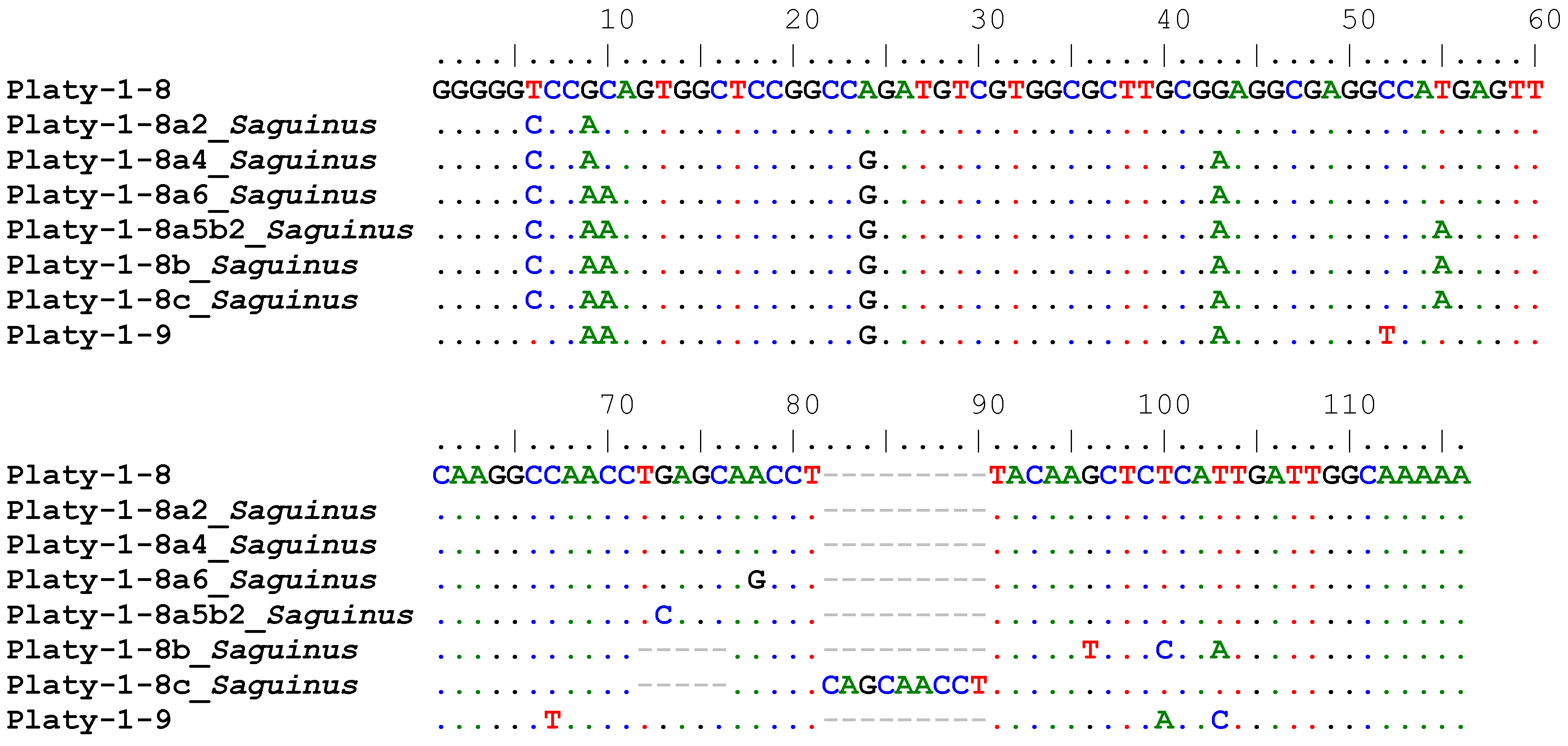 Genes 14 01436 g002