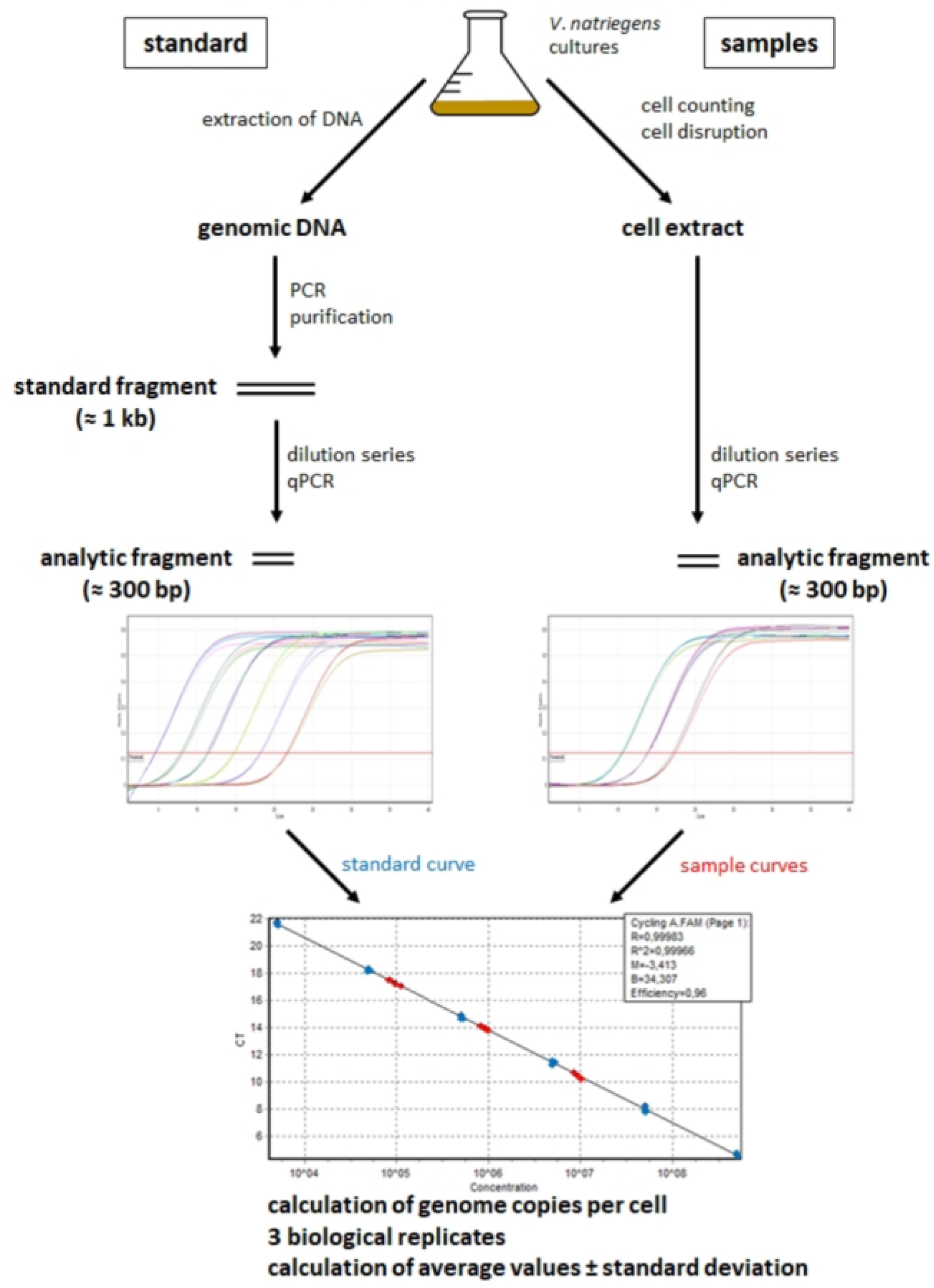 Genes 14 01437 g001 Genes 14 01437 g001