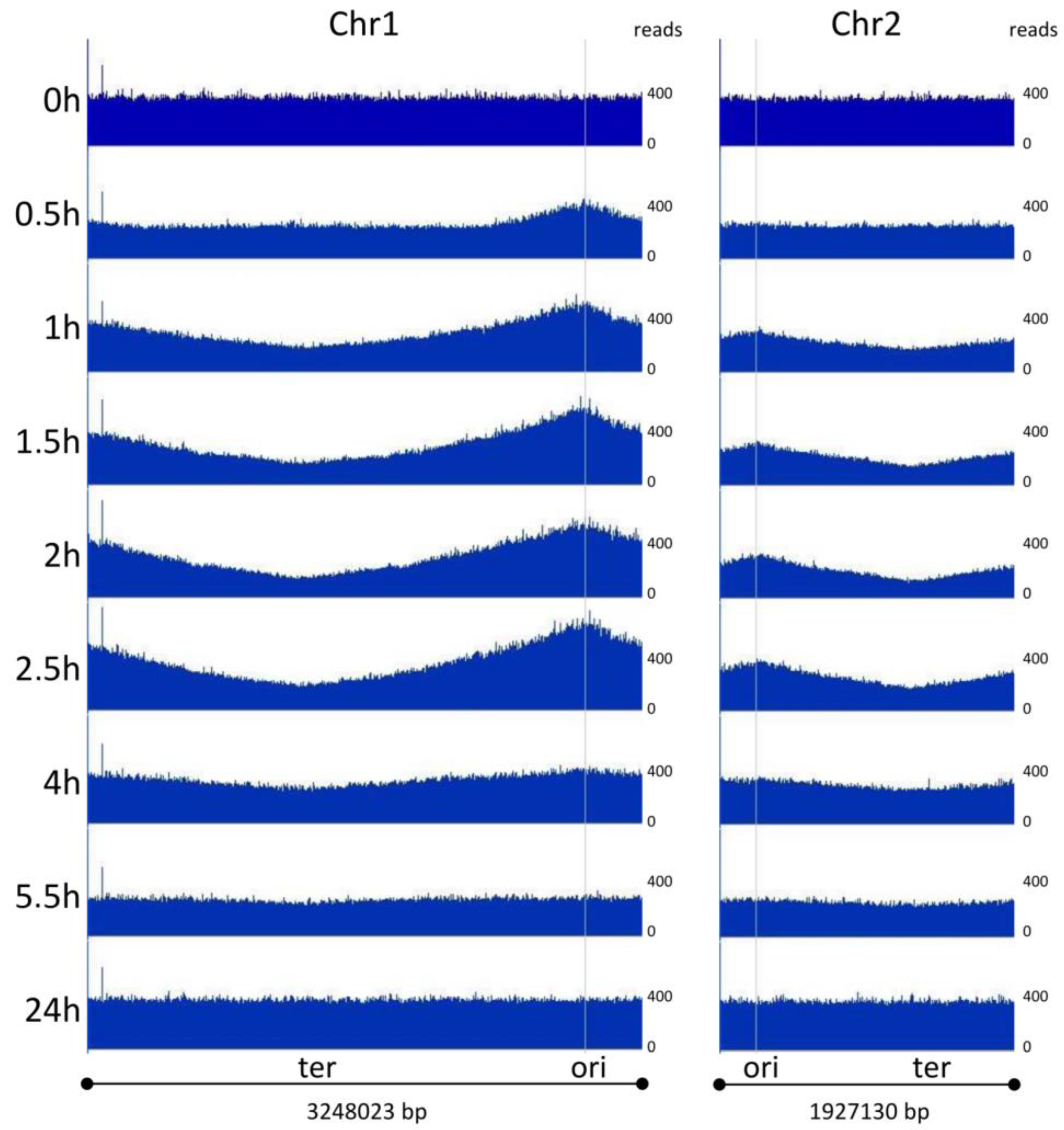 Genes 14 01437 g005 Genes 14 01437 g005