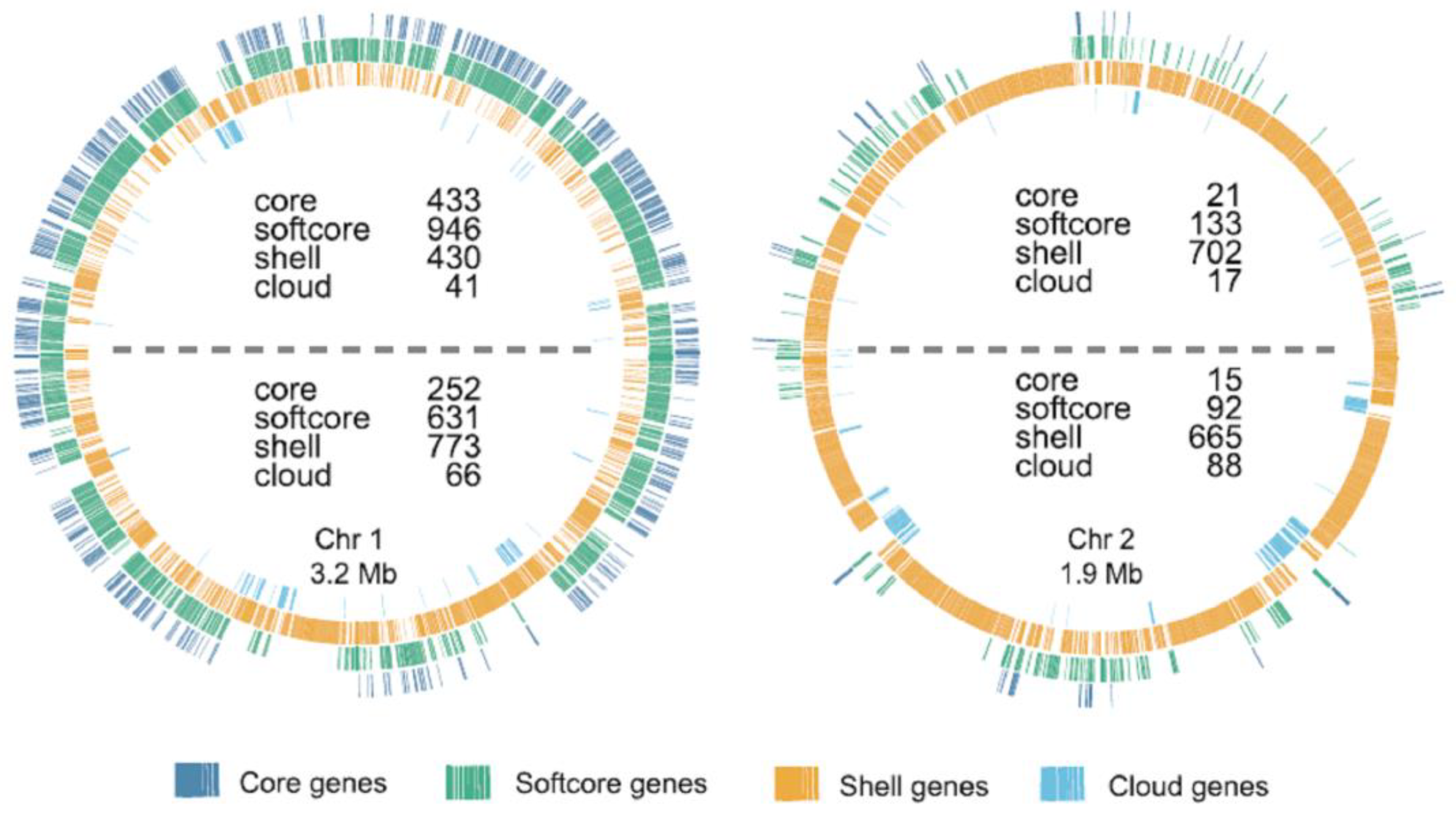 Genes 14 01437 g007 Genes 14 01437 g007