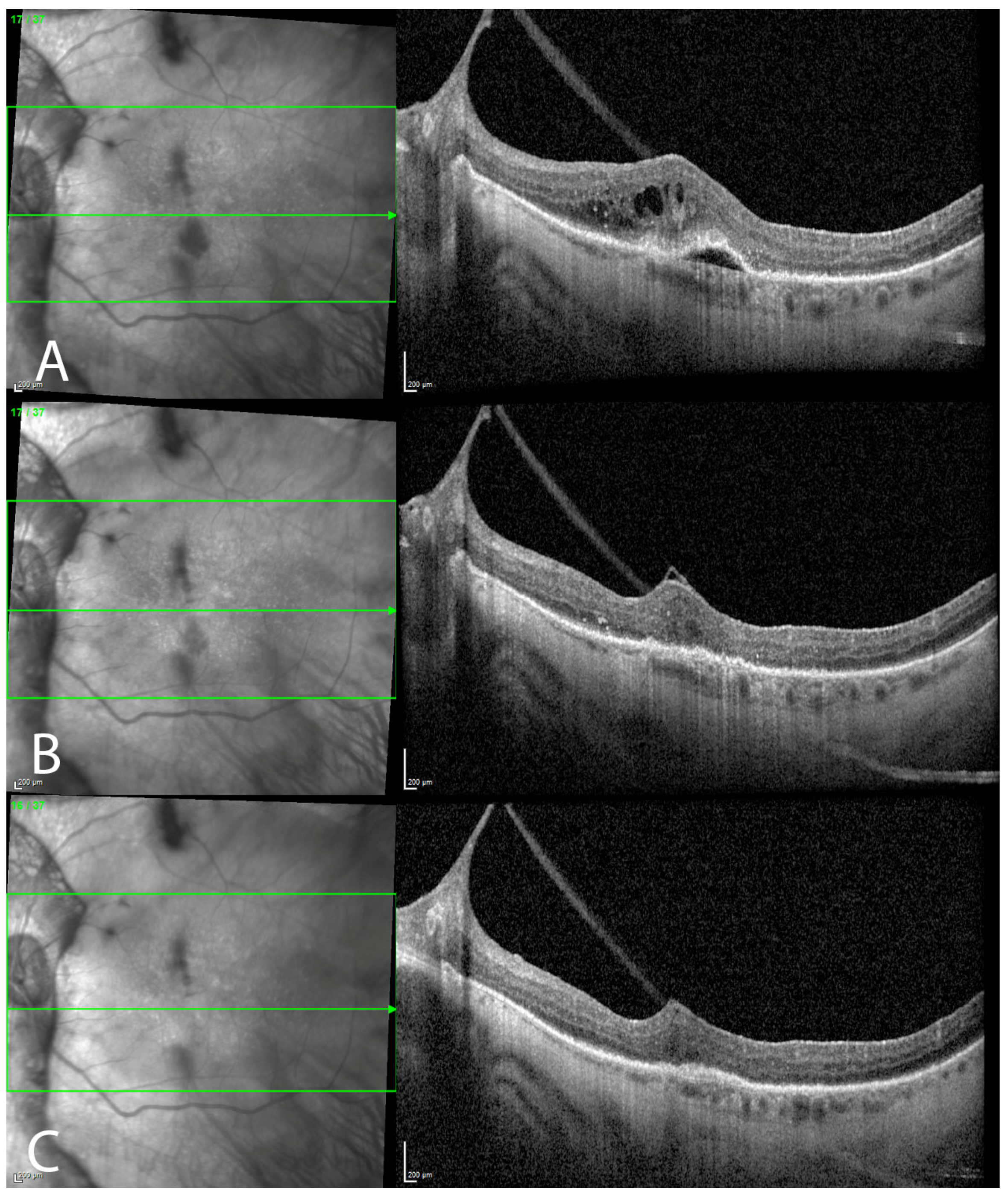 Genes 14 01438 g002 Genes 14 01438 g002