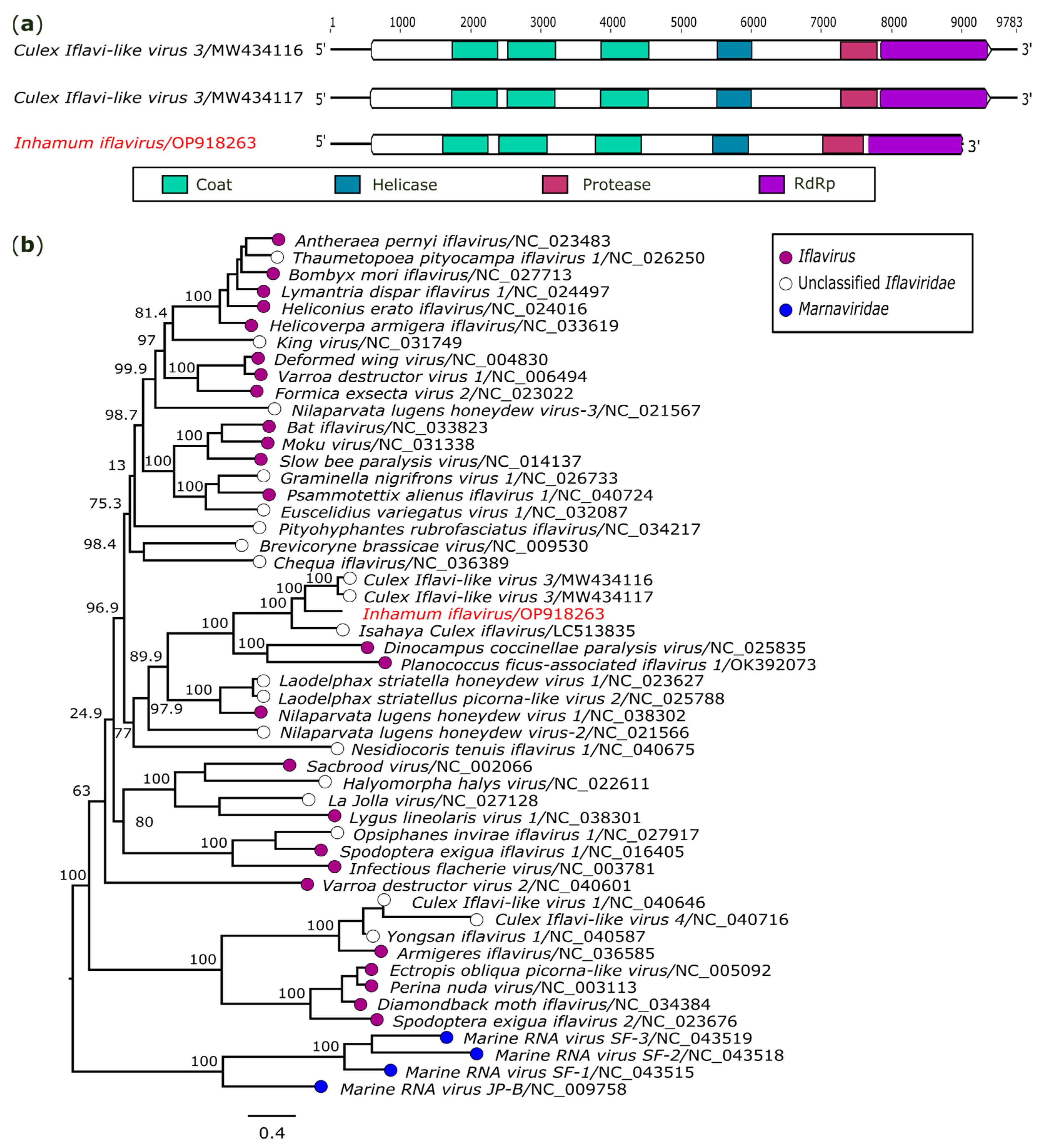 Genes 14 01443 g002 Genes 14 01443 g002