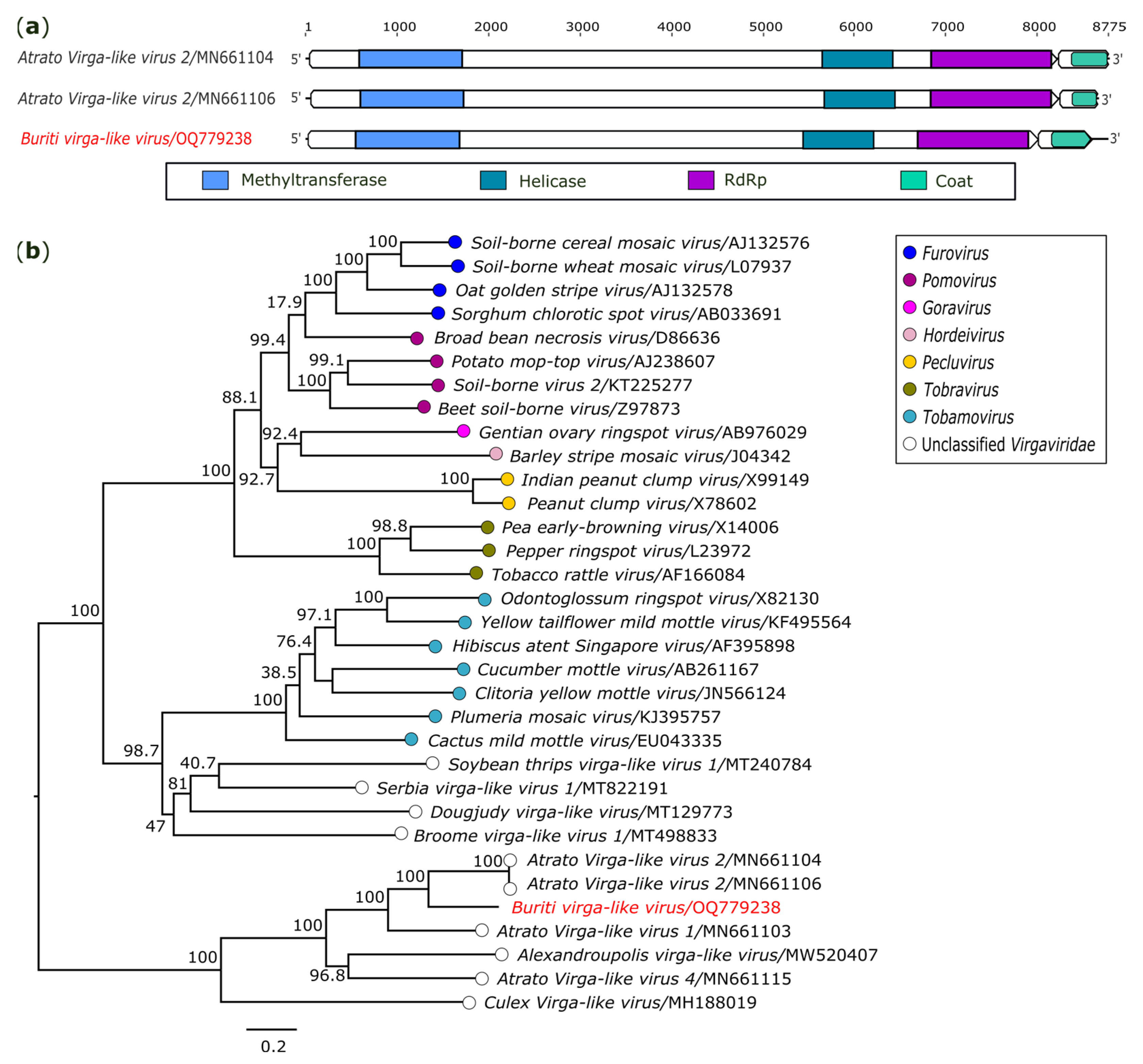 Genes 14 01443 g005 Genes 14 01443 g005
