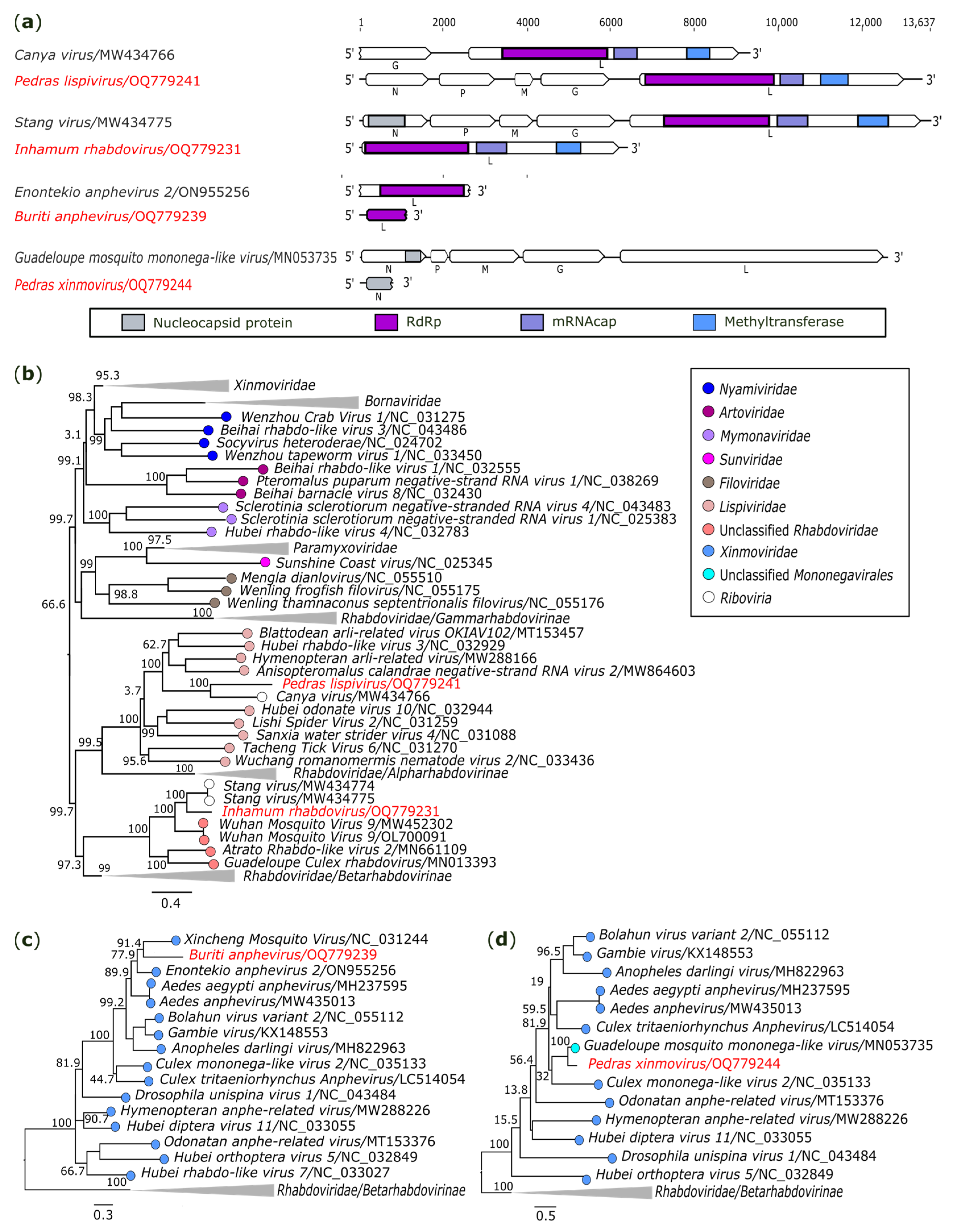 Genes 14 01443 g006 Genes 14 01443 g006
