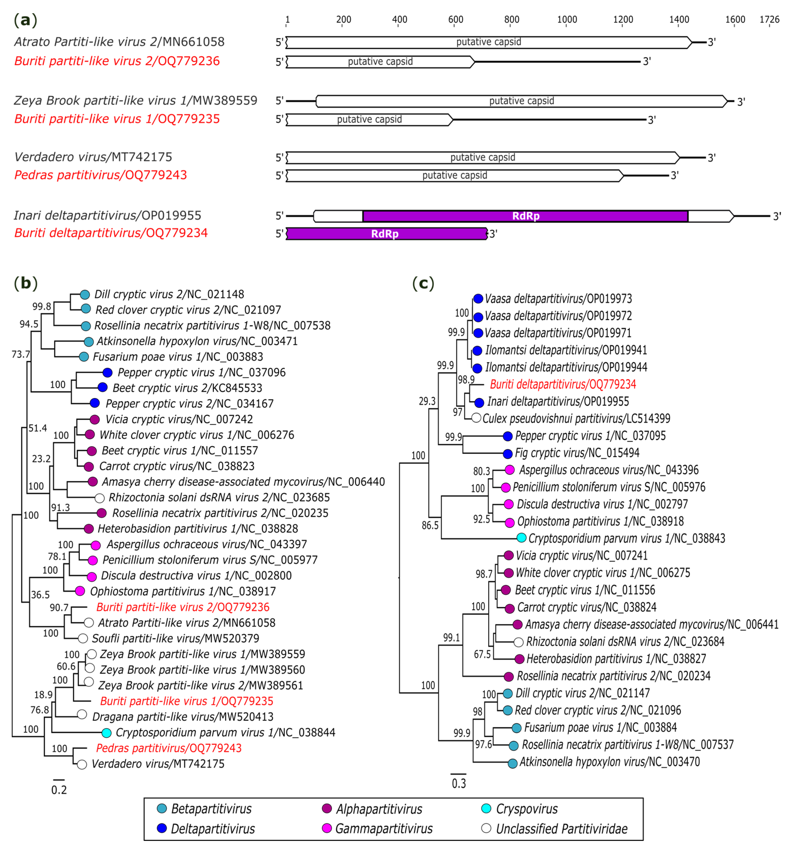 Genes 14 01443 g007 Genes 14 01443 g007