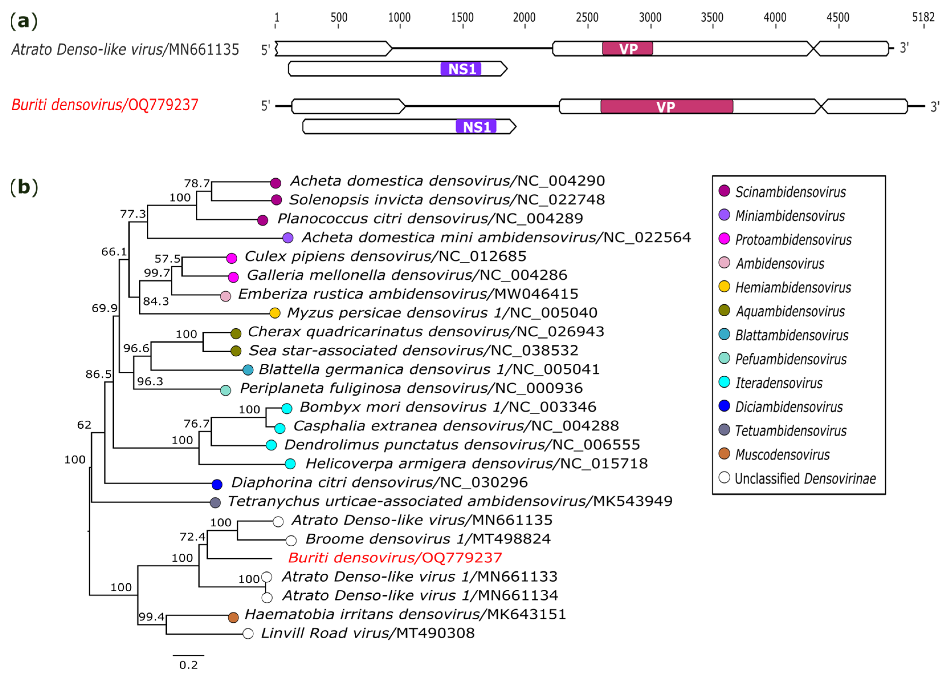 Genes 14 01443 g008 Genes 14 01443 g008