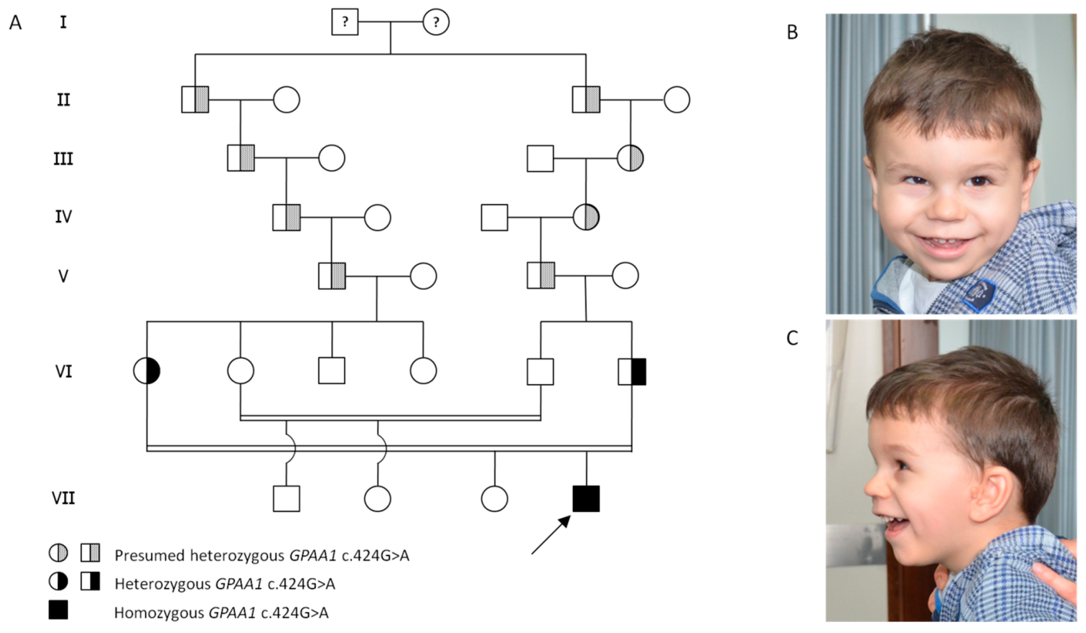 Genes 14 01444 g001