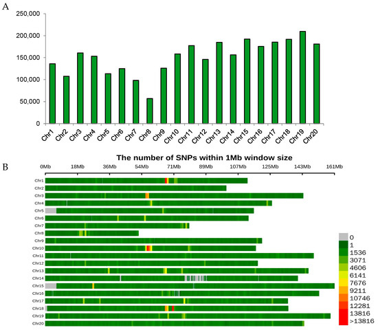 Dissection of the Genetic Basis of Resistance to Stem Rot in