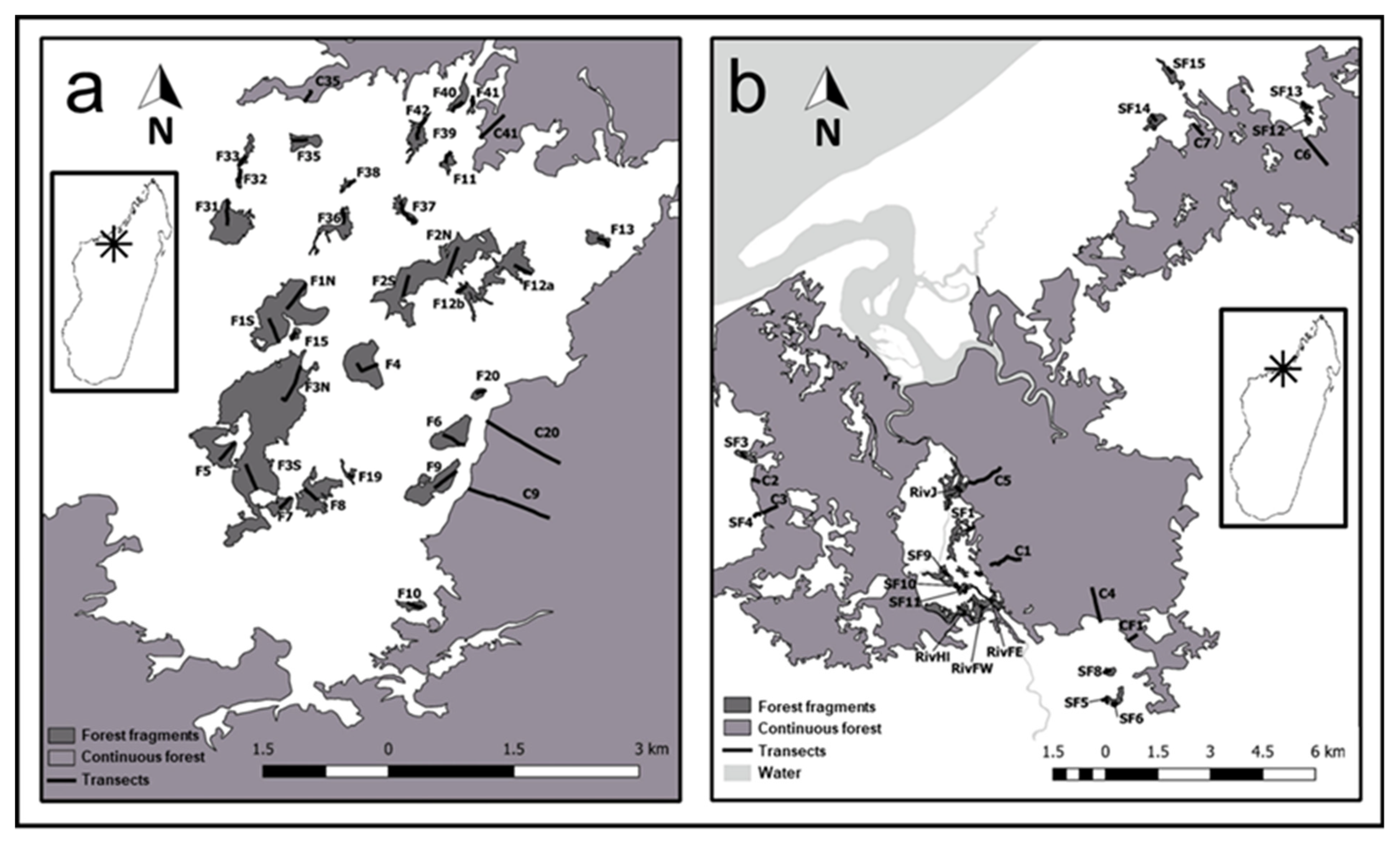 Genes 14 01451 g001 Genes 14 01451 g001