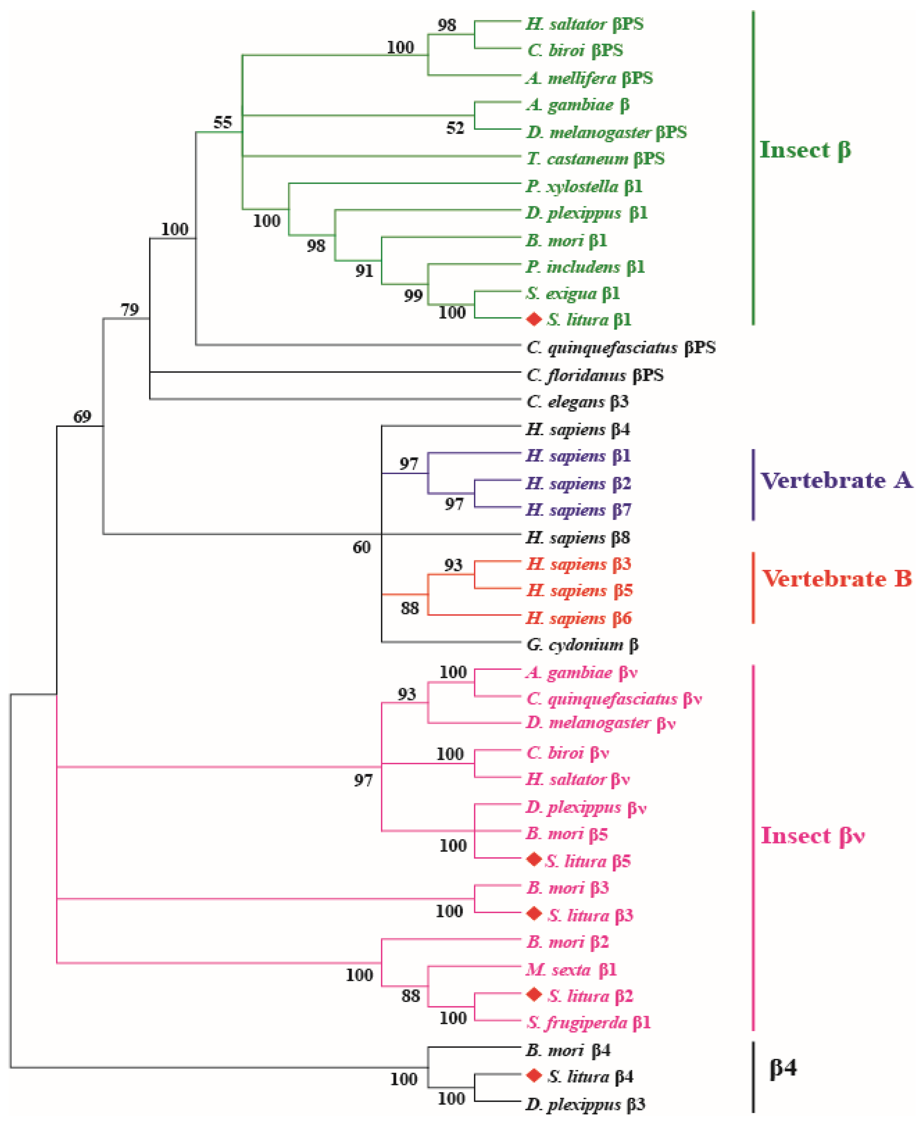 Genes 14 01452 g002 Genes 14 01452 g002