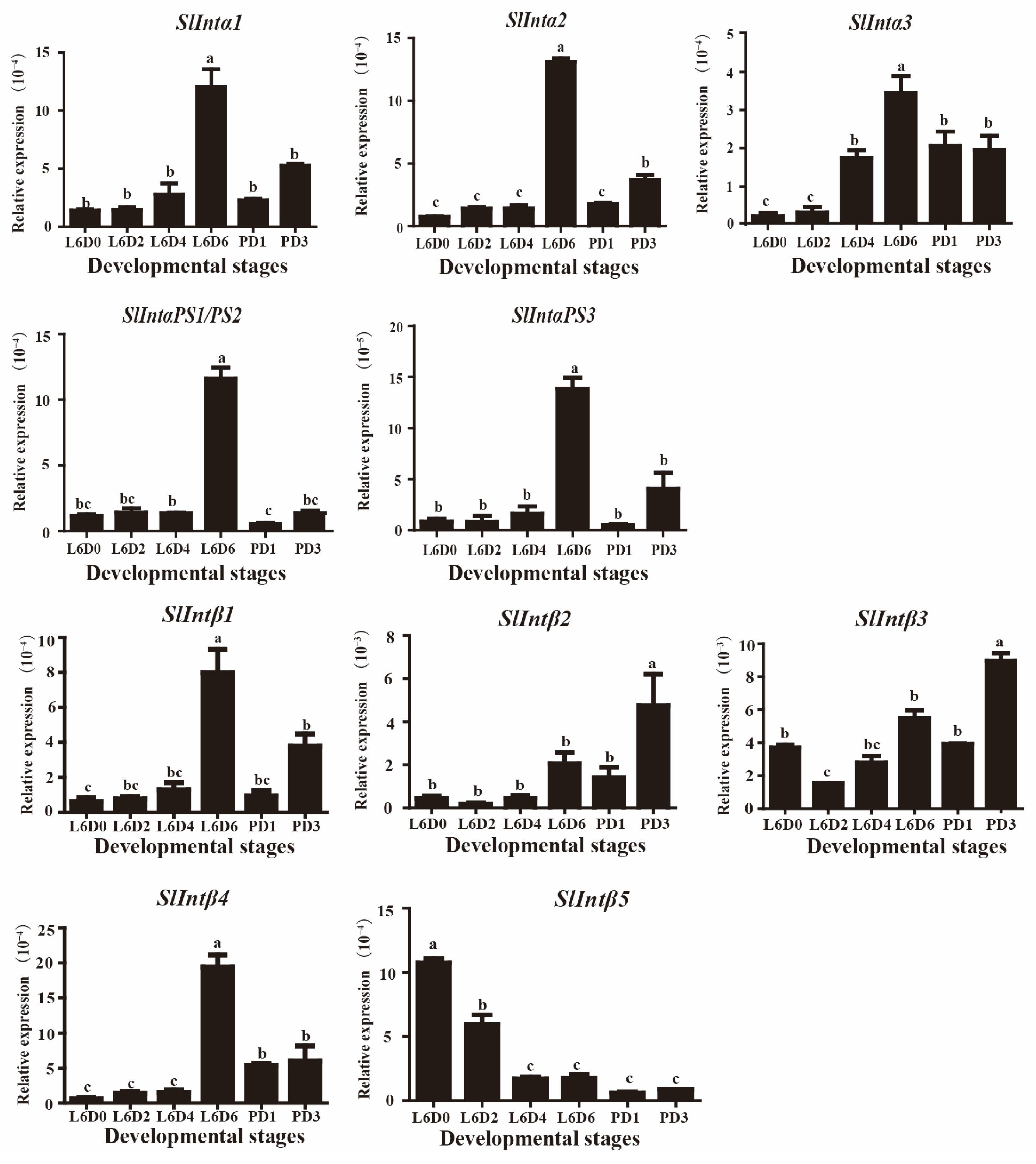 Genes 14 01452 g003 Genes 14 01452 g003