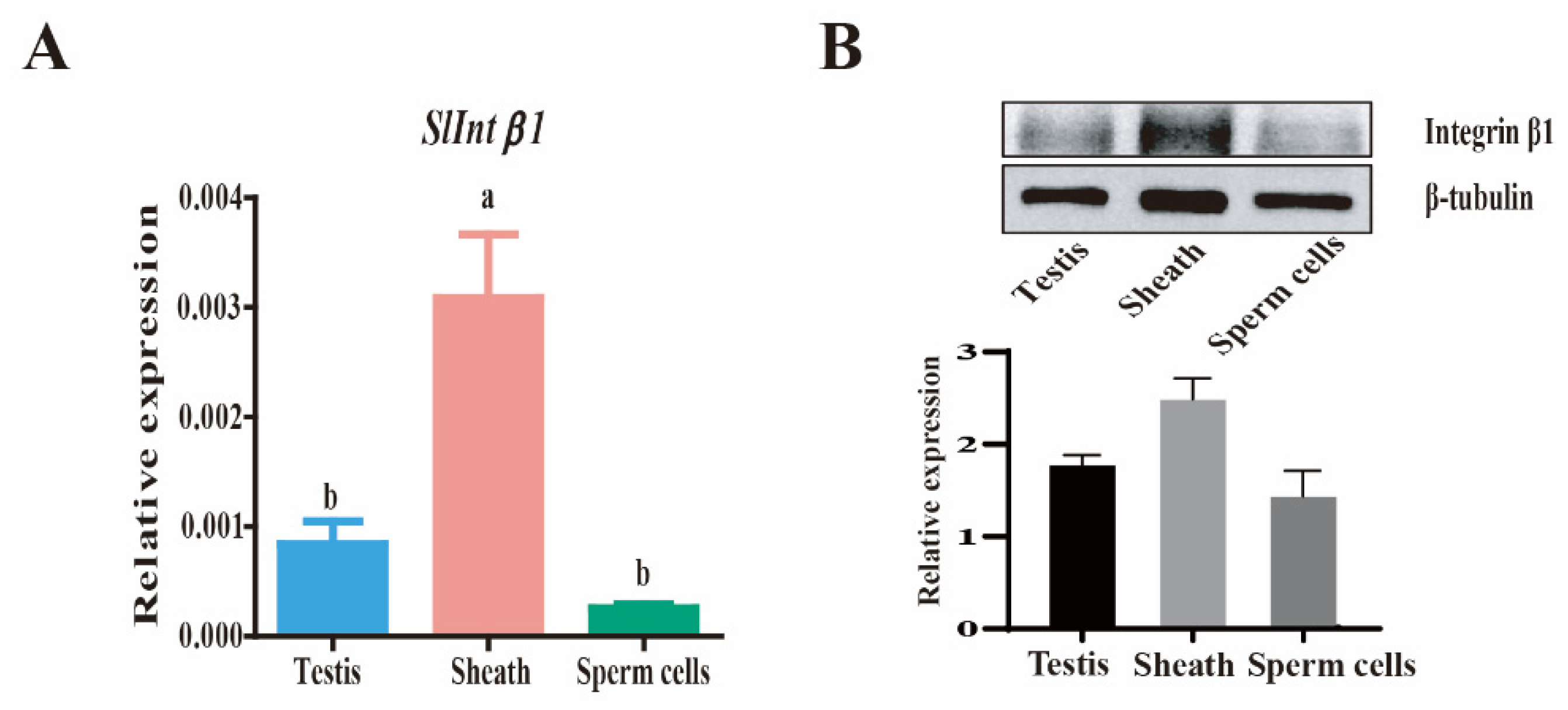 Genes 14 01452 g004 Genes 14 01452 g004
