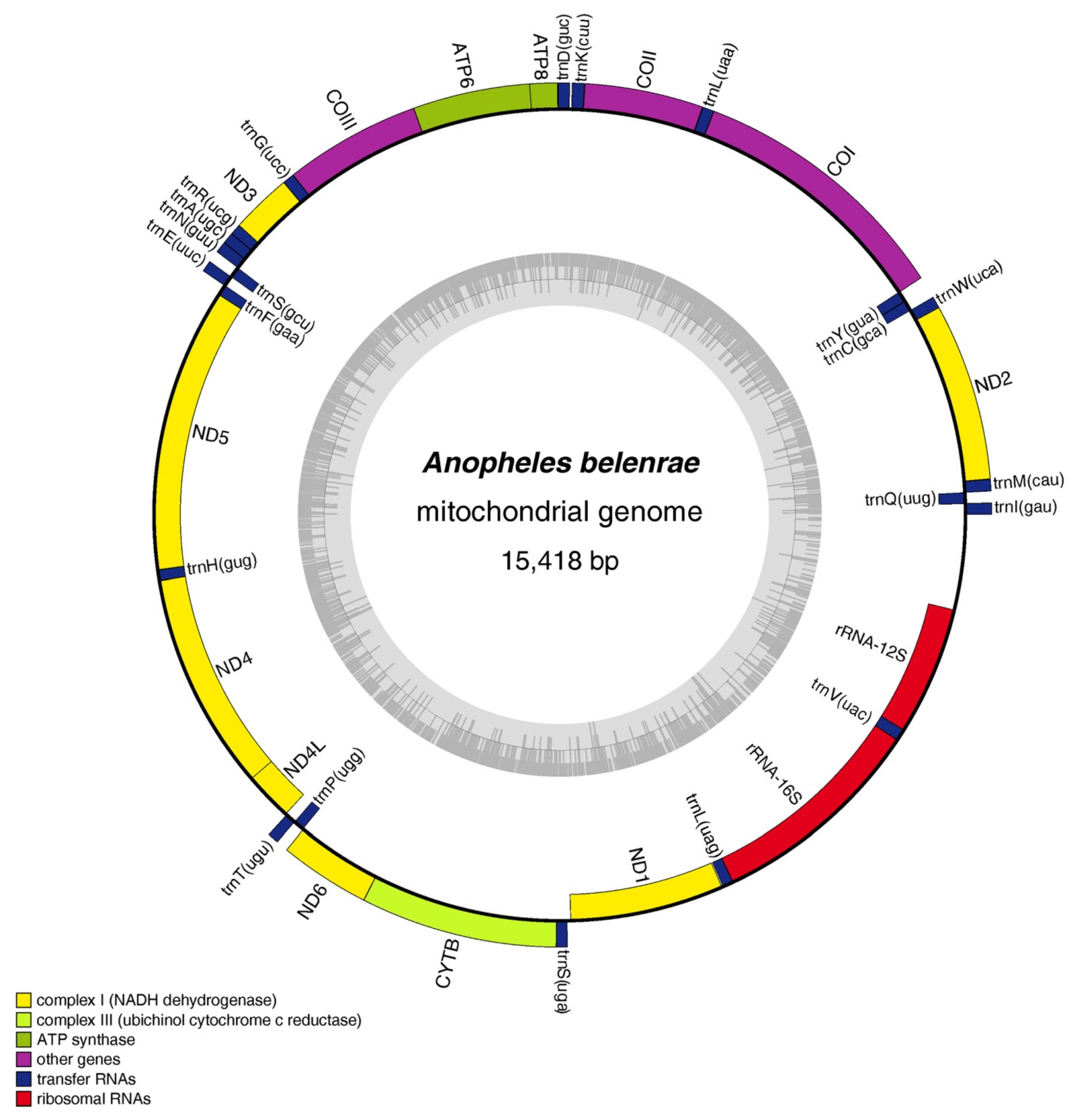 Genes 14 01453 g001 Genes 14 01453 g001