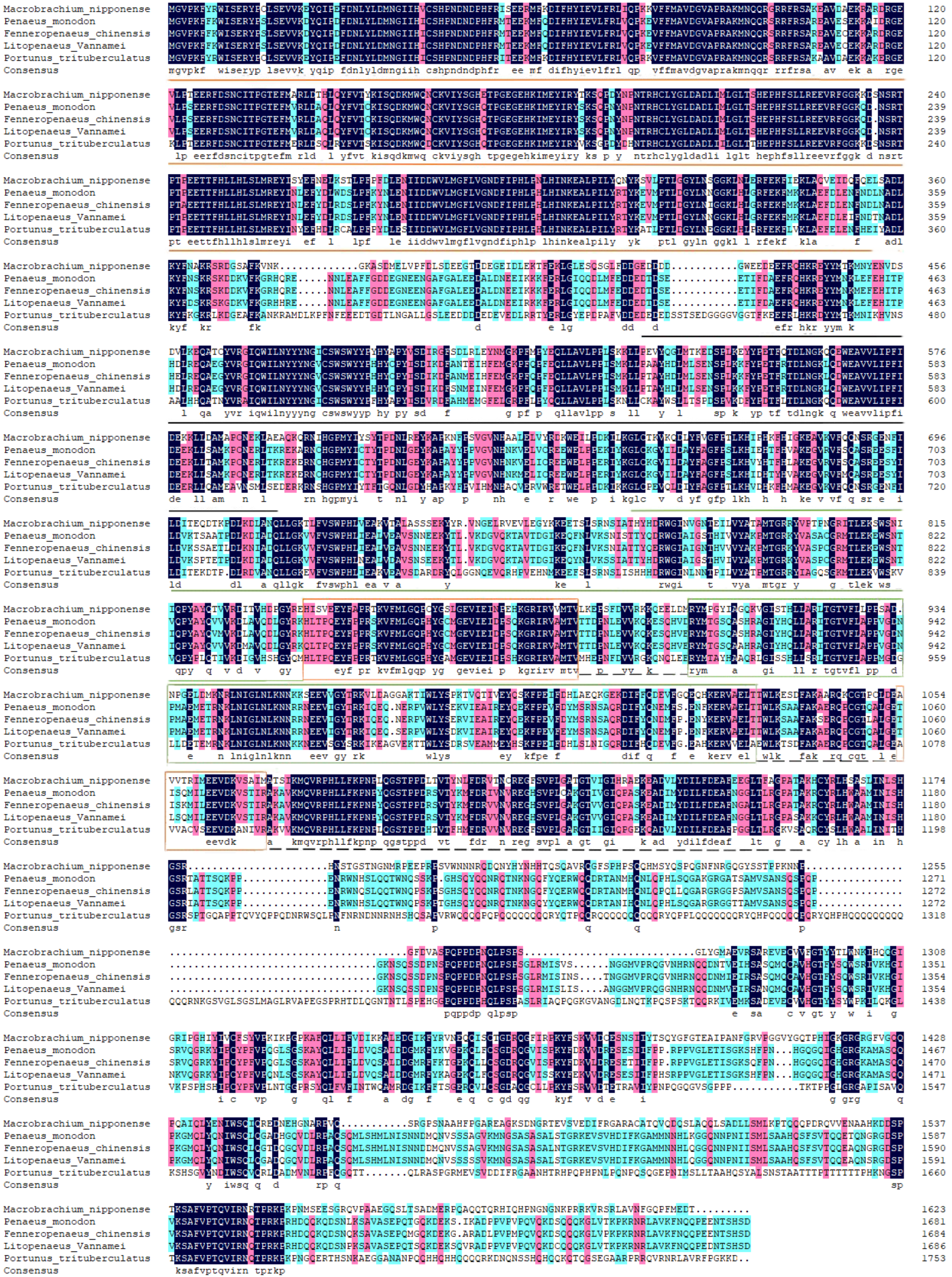 Genes 14 01454 g003