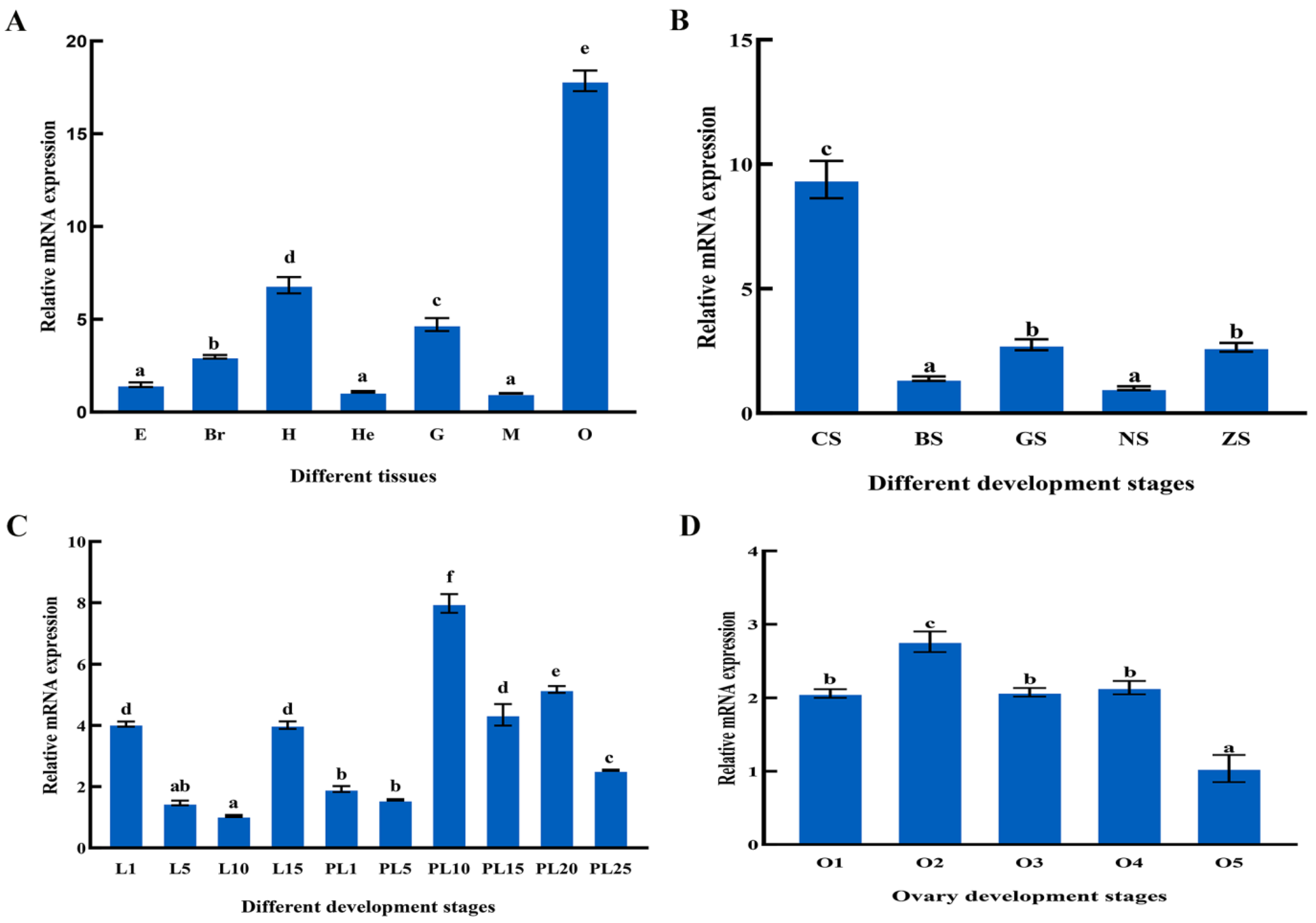 Genes 14 01454 g006