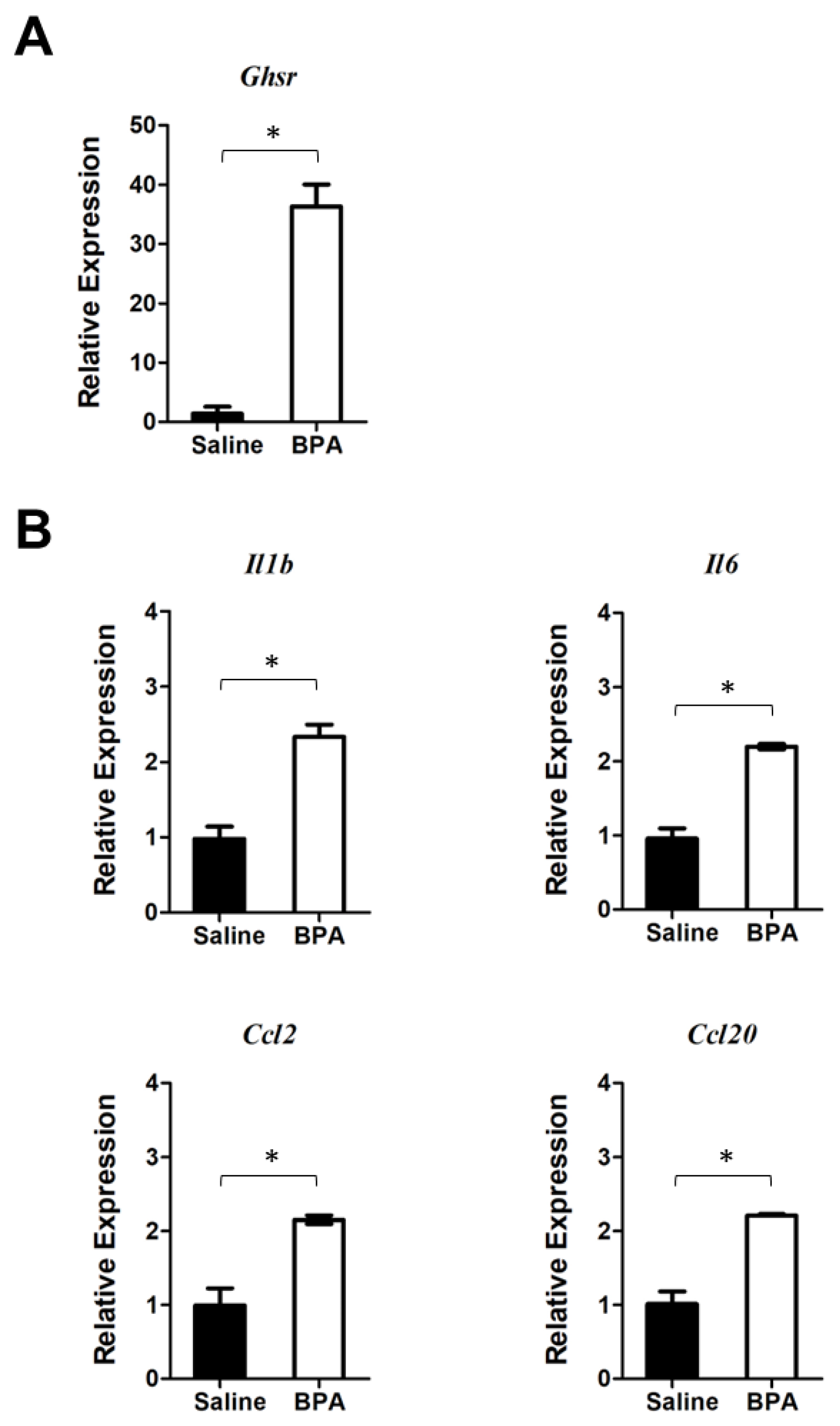 Genes 14 01455 g005 Genes 14 01455 g005