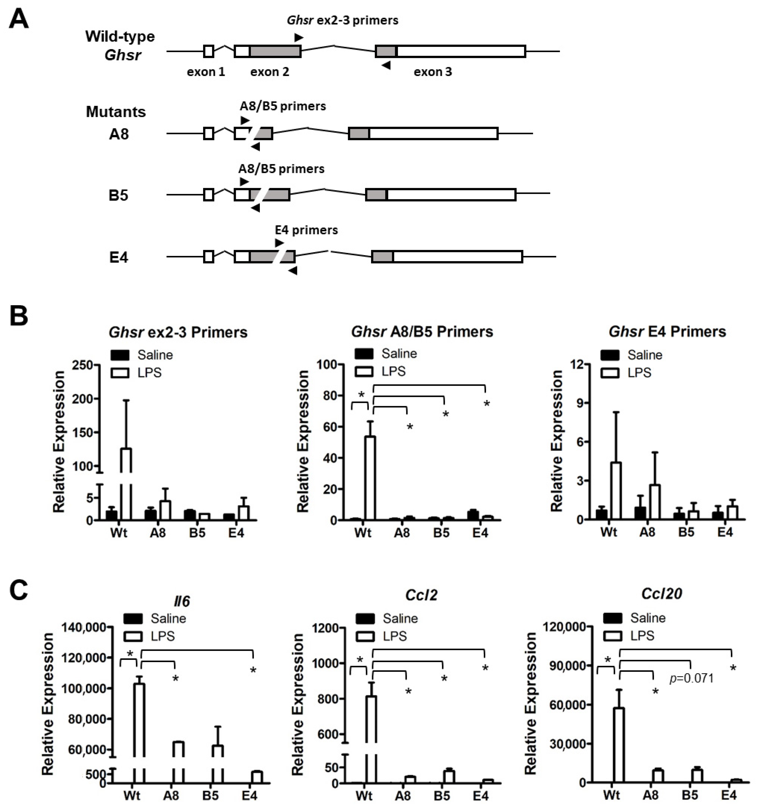 Genes 14 01455 g006 Genes 14 01455 g006
