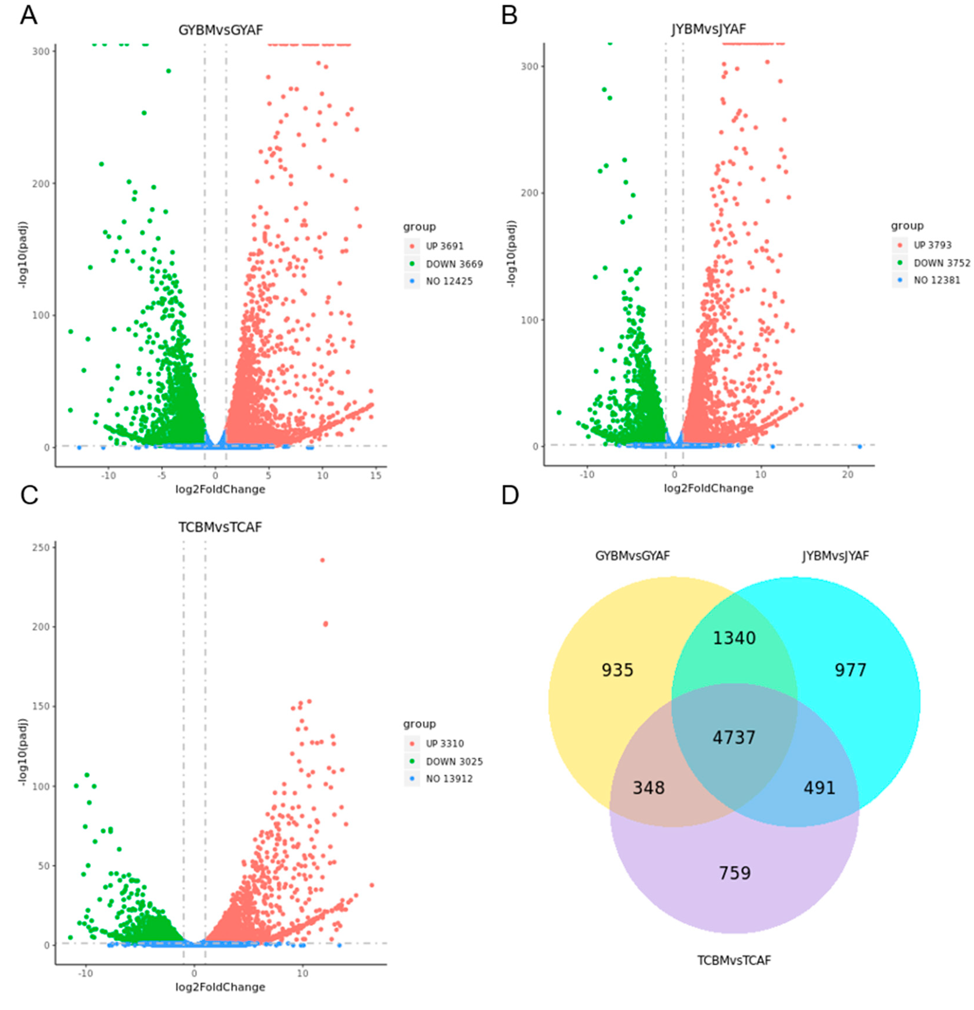 Genes 14 01457 g001
