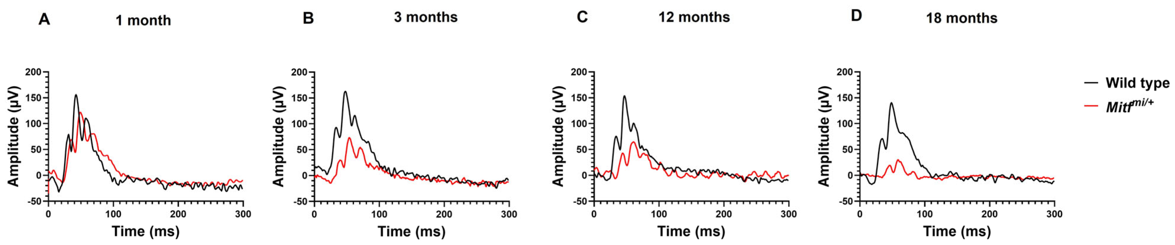 Genes 14 01458 g001 Genes 14 01458 g001