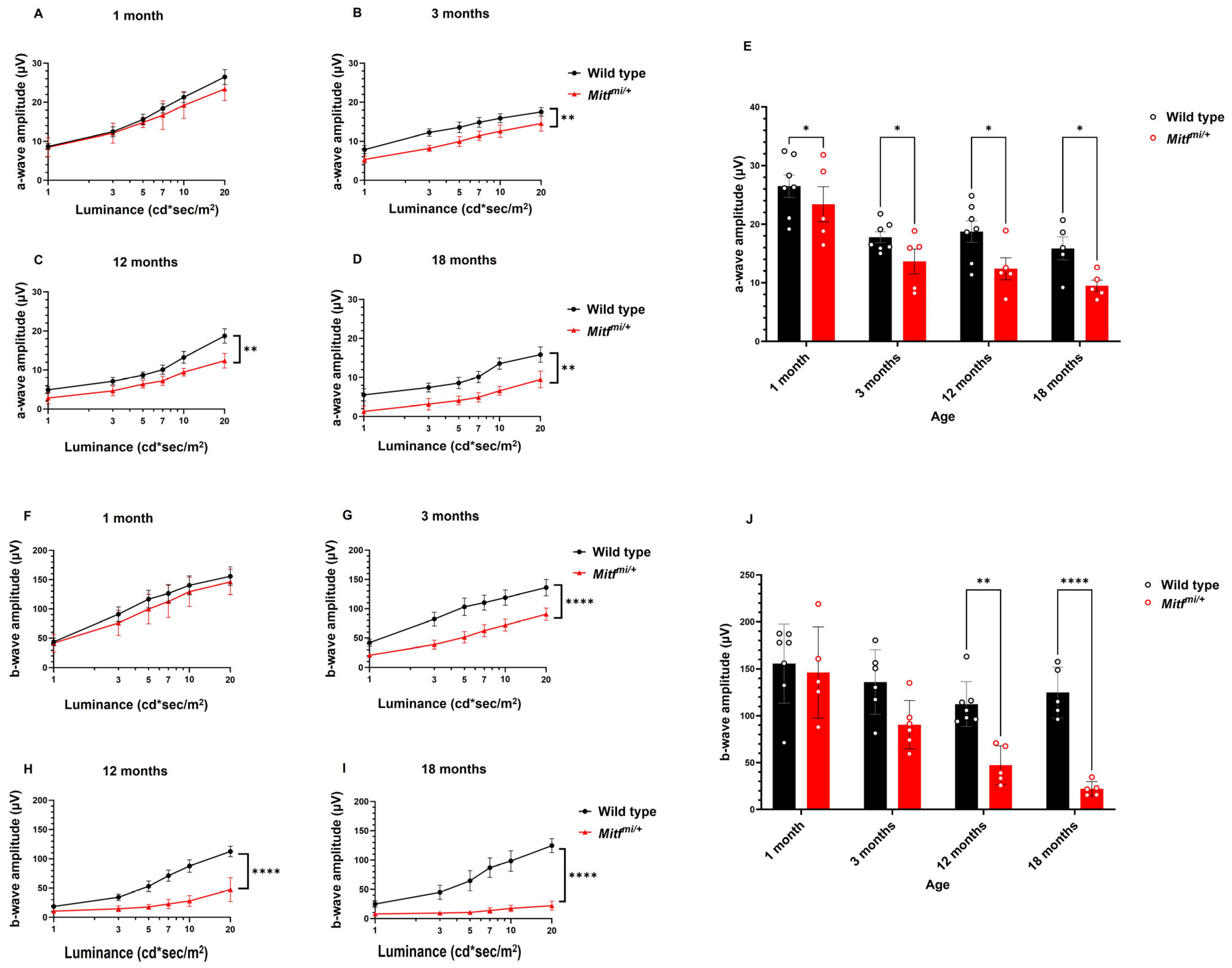Genes 14 01458 g002 Genes 14 01458 g002