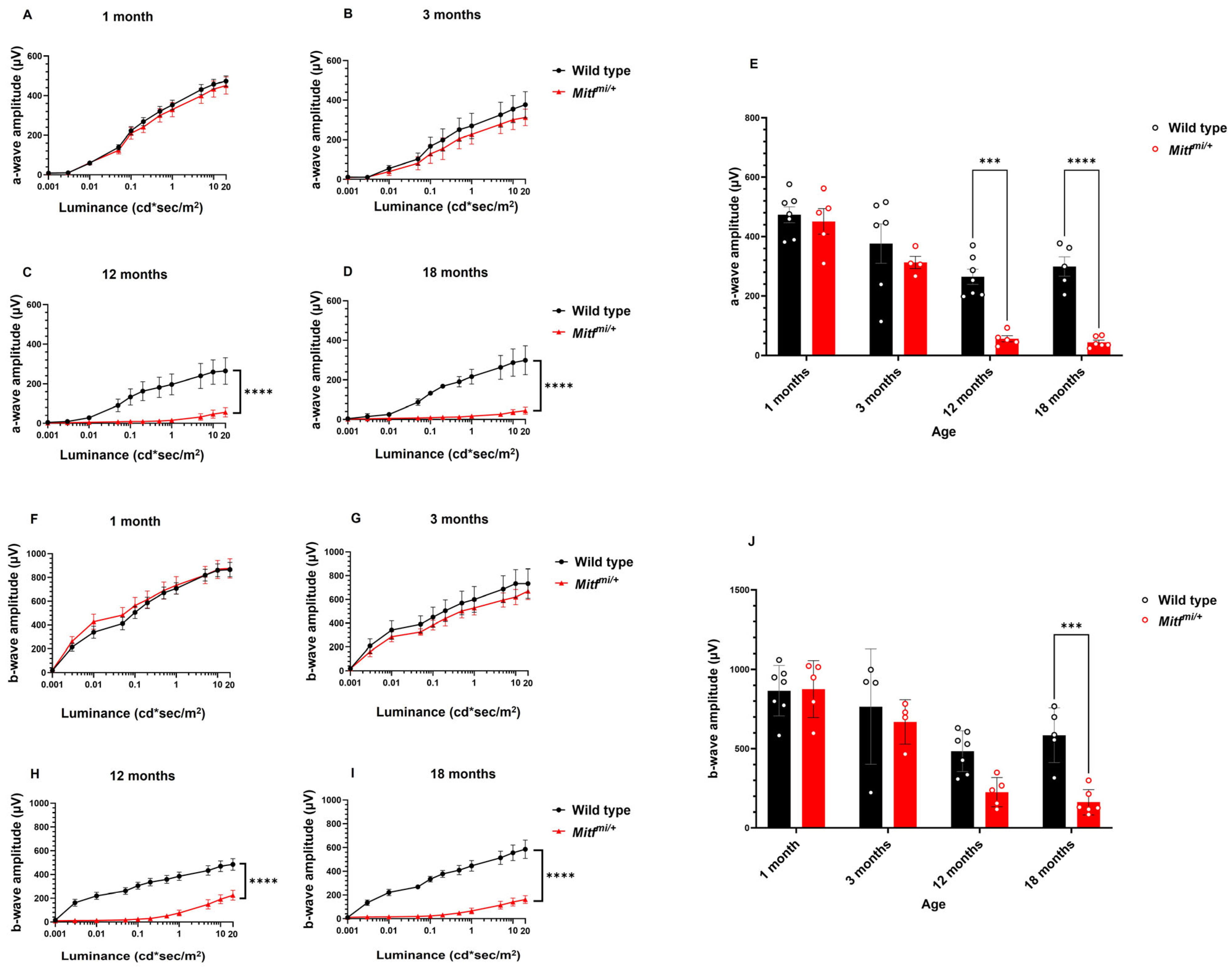 Genes 14 01458 g004 Genes 14 01458 g004