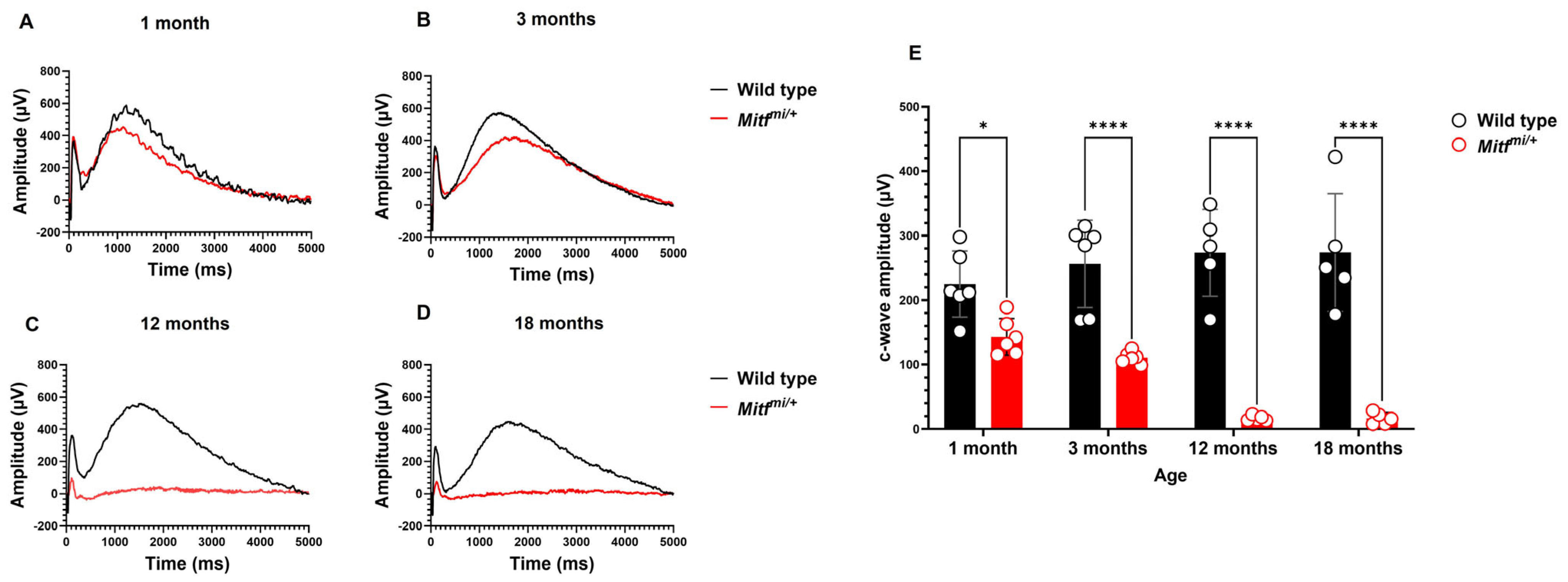 Genes 14 01458 g005 Genes 14 01458 g005