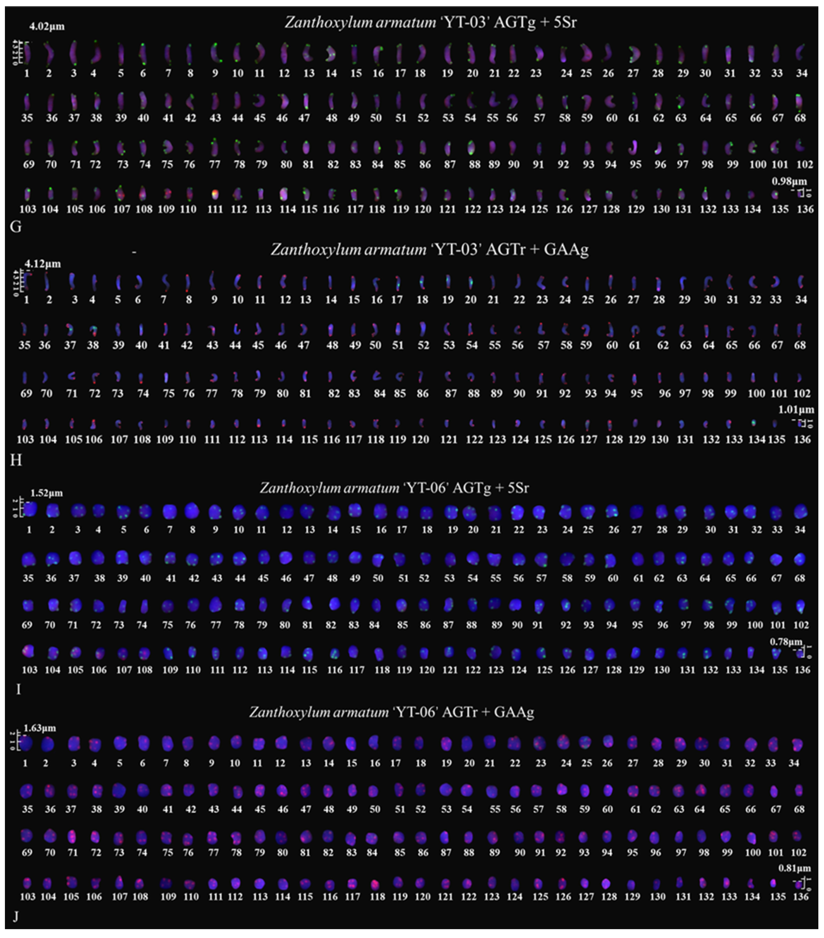 Genes 14 01459 g005 Genes 14 01459 g005