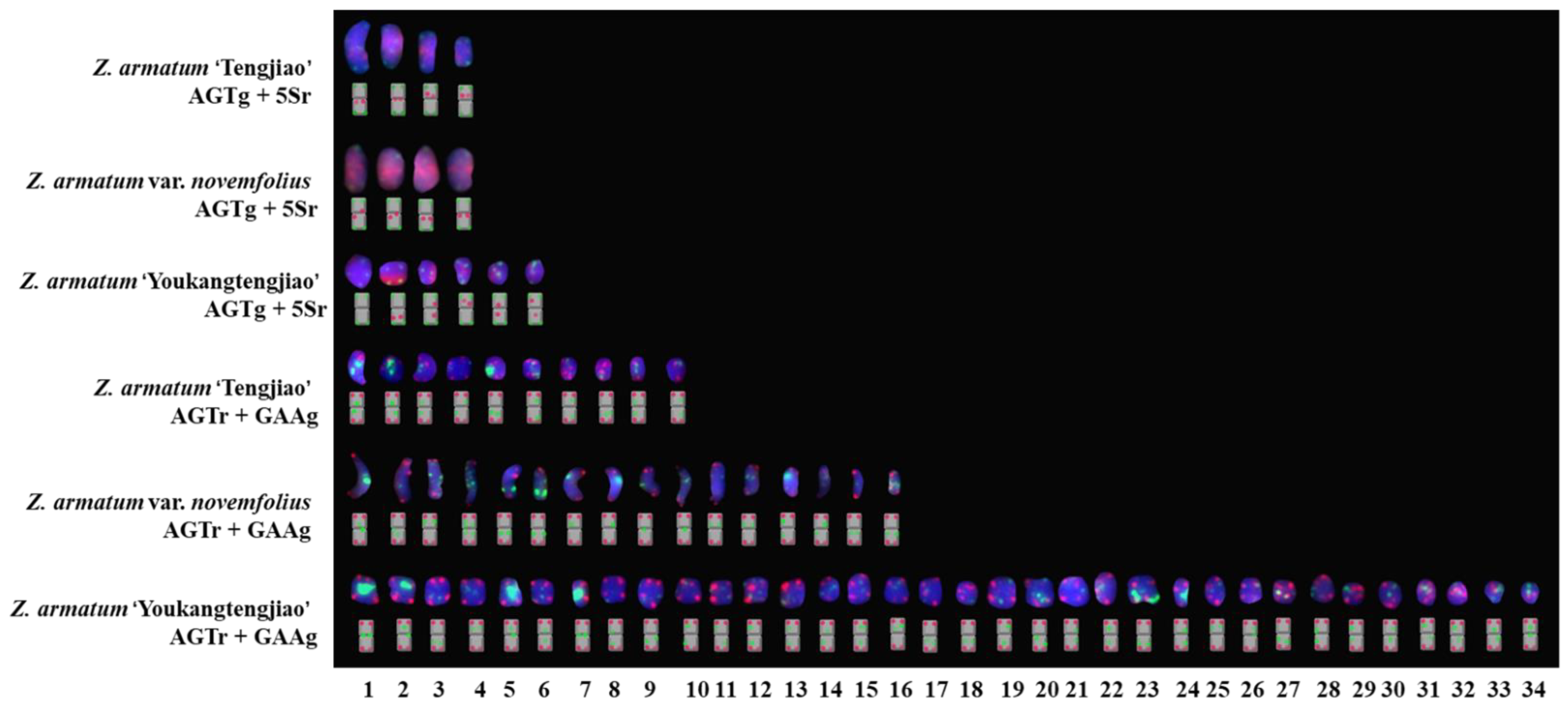 Genes 14 01459 g006 Genes 14 01459 g006