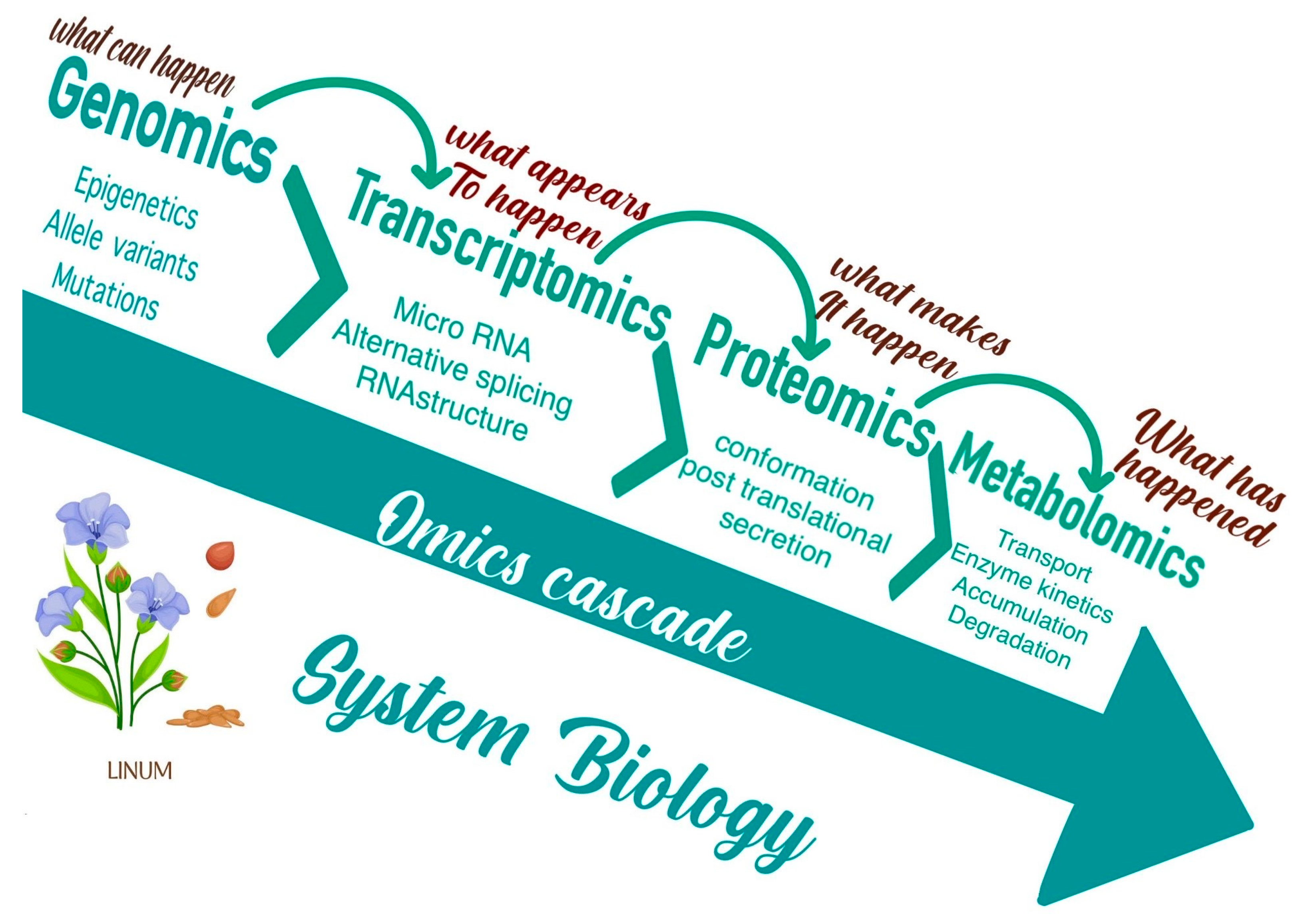 Genes 14 01461 g003 Genes 14 01461 g003