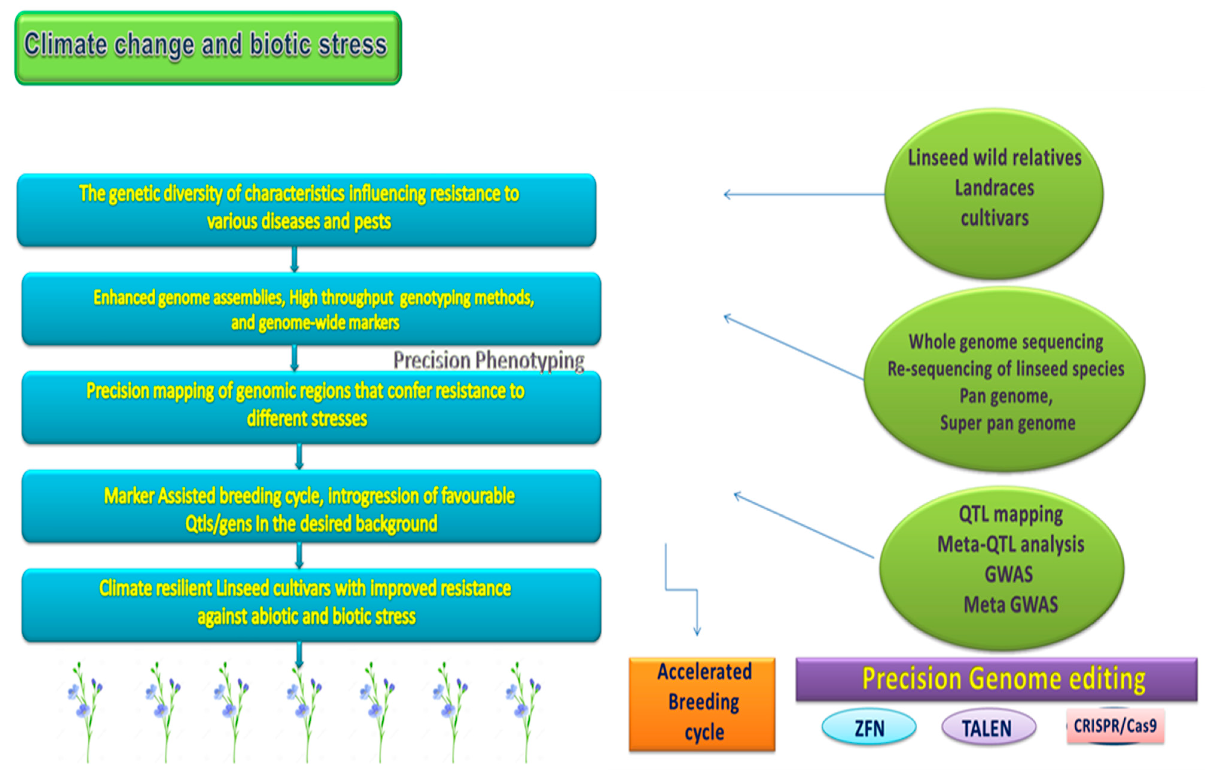Genes 14 01461 g004 Genes 14 01461 g004