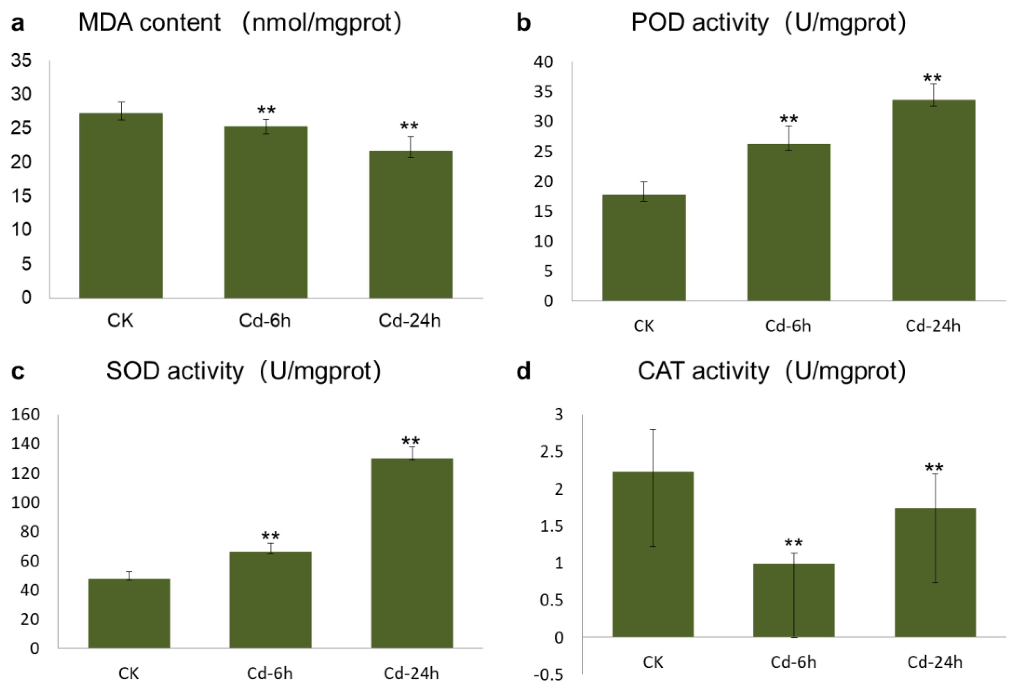 Genes 14 01462 g001 Genes 14 01462 g001