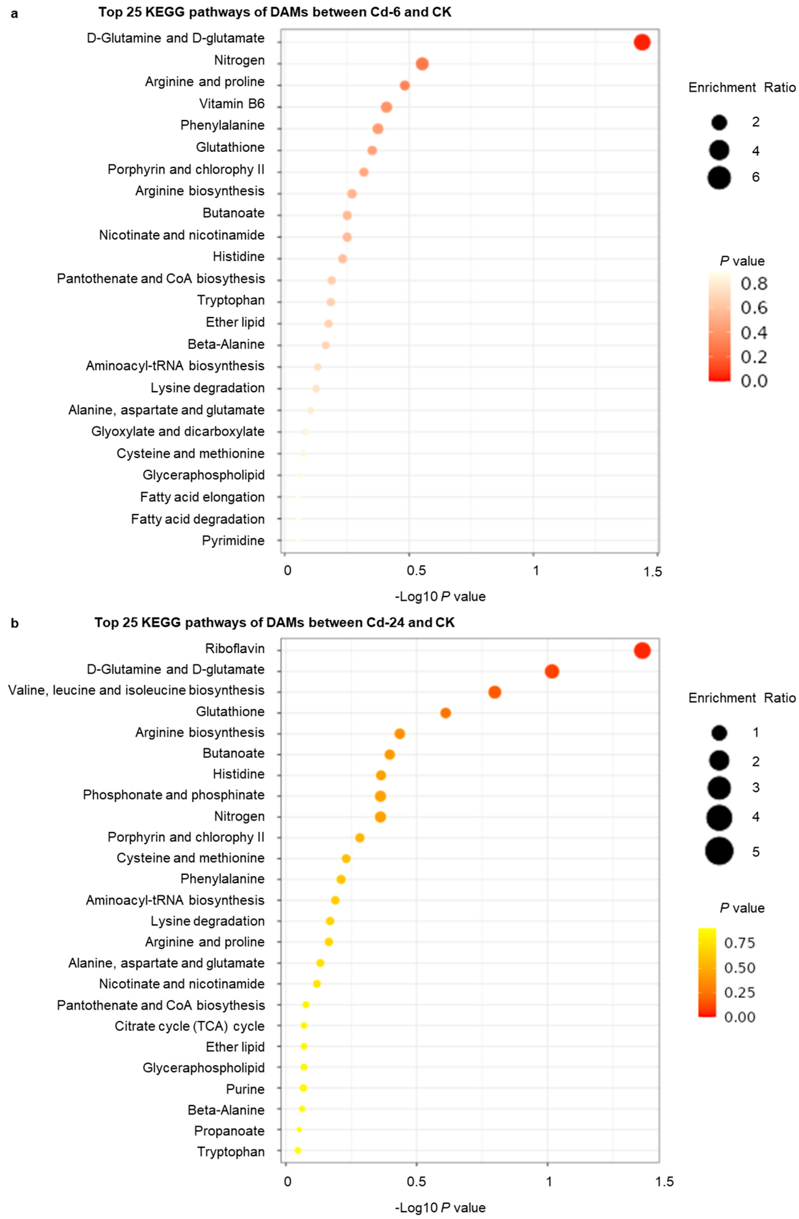 Genes 14 01462 g003 Genes 14 01462 g003
