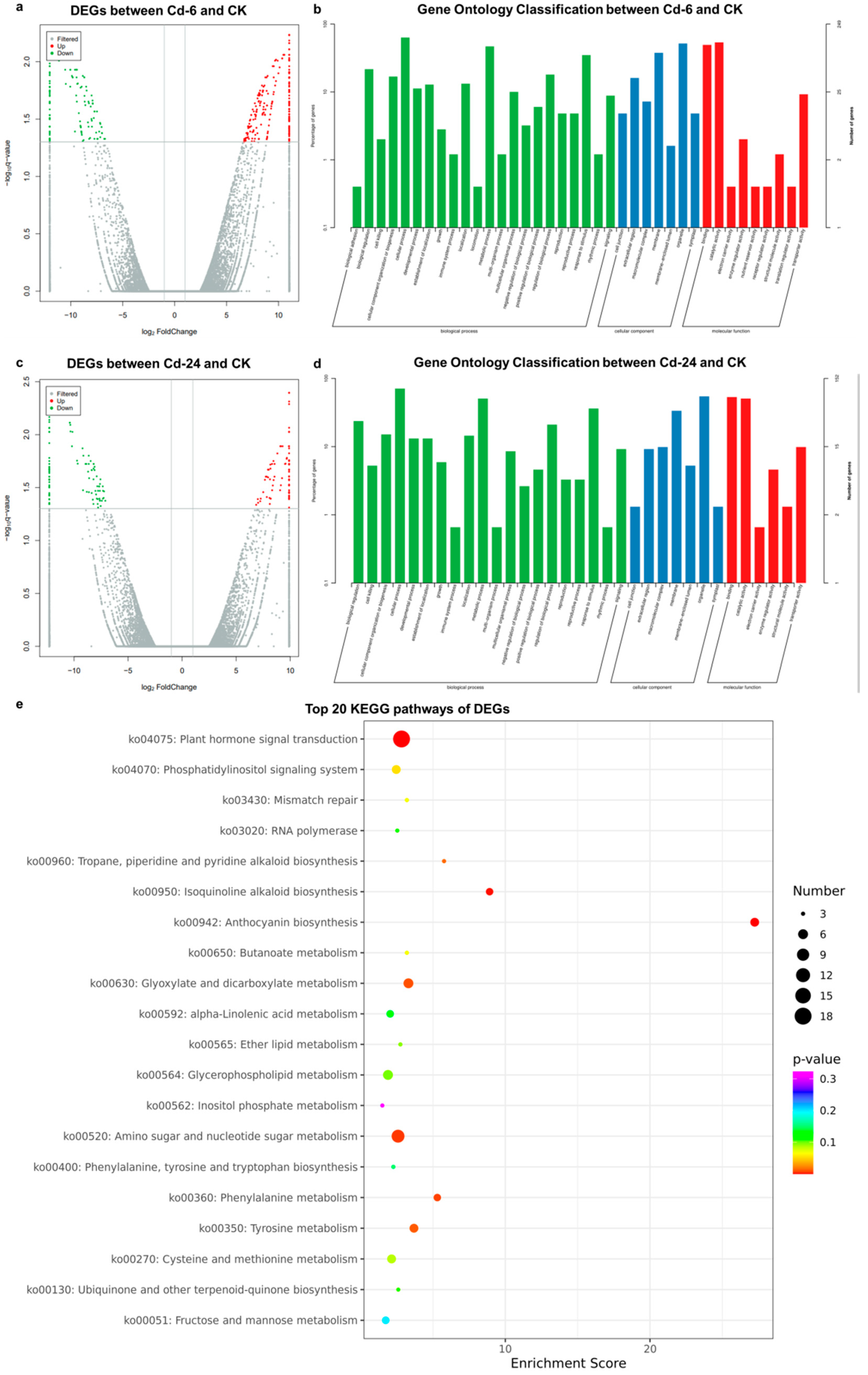 Genes 14 01462 g004 Genes 14 01462 g004