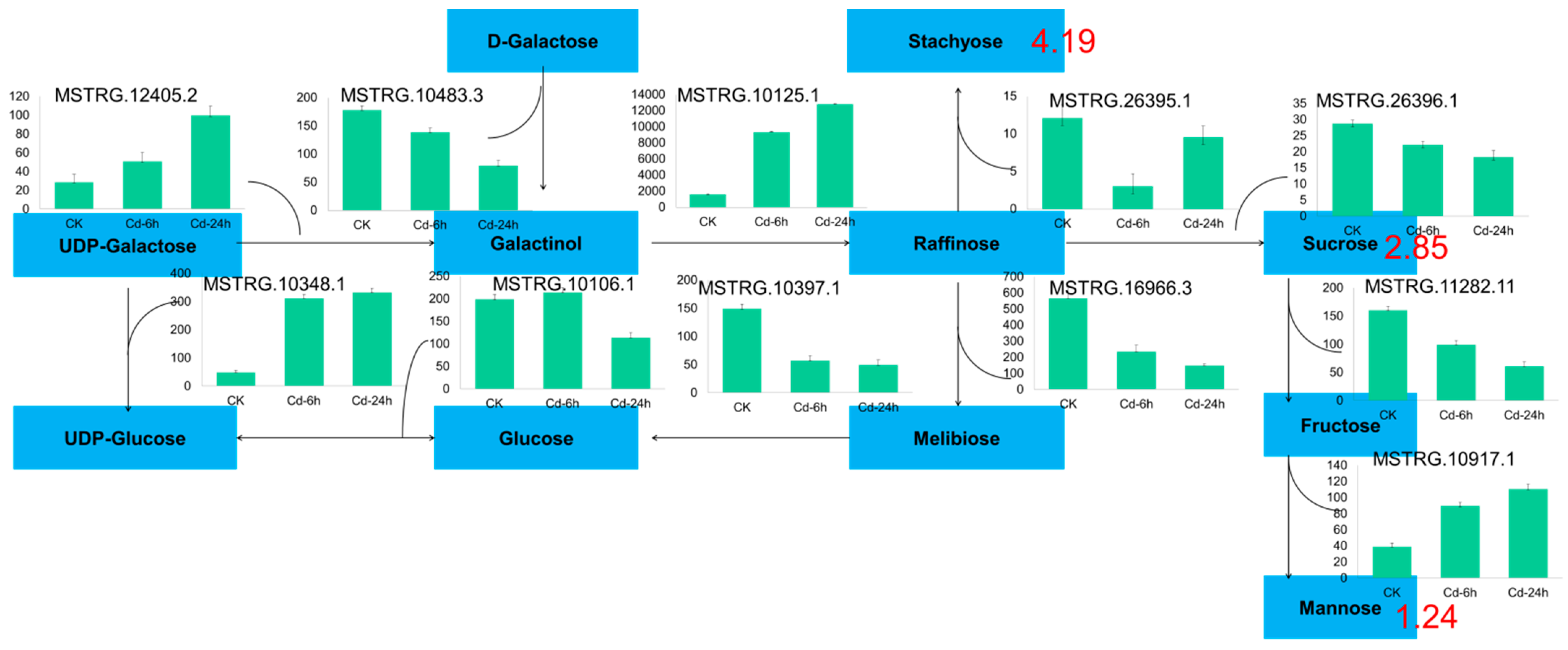 Genes 14 01462 g005 Genes 14 01462 g005