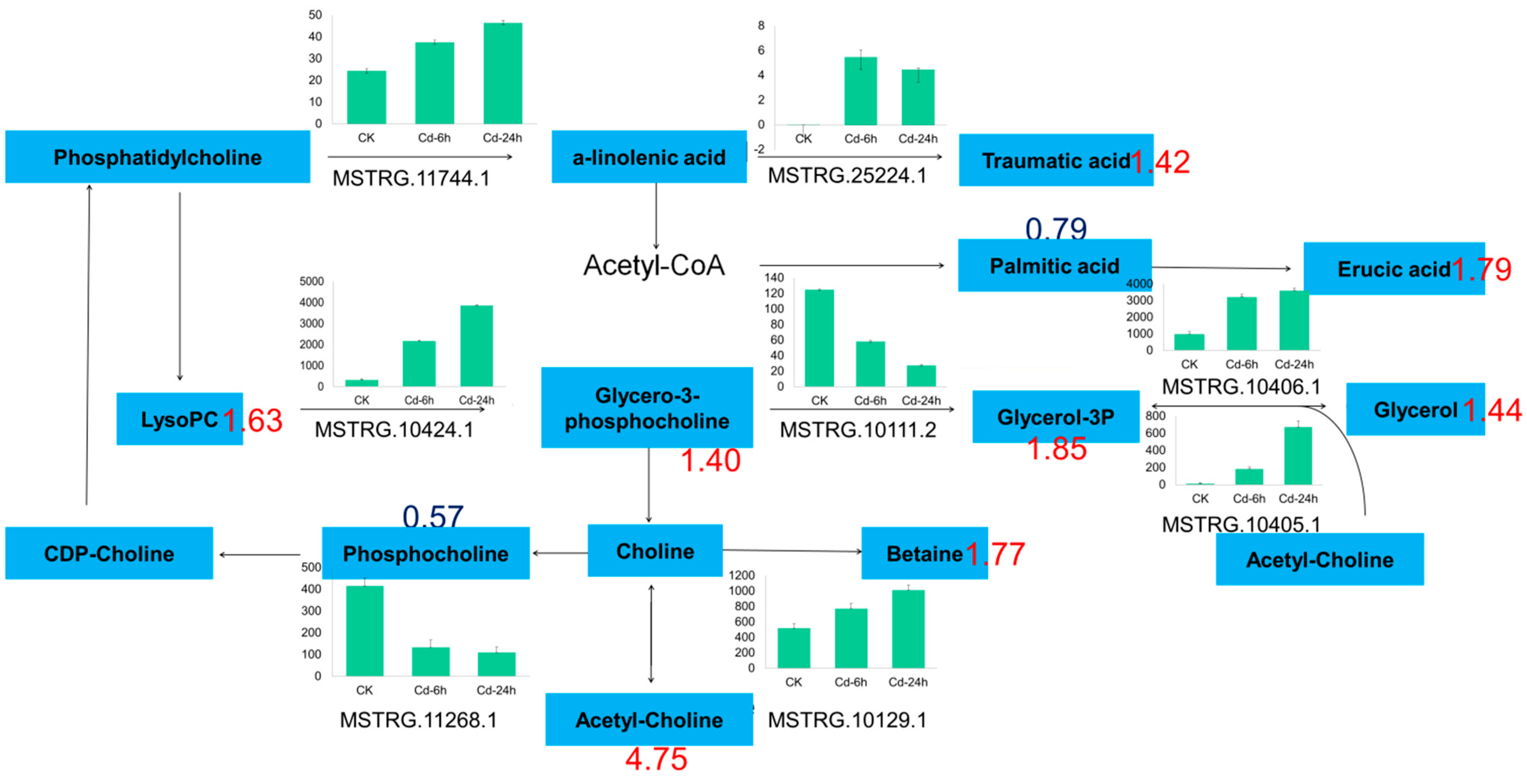 Genes 14 01462 g006 Genes 14 01462 g006