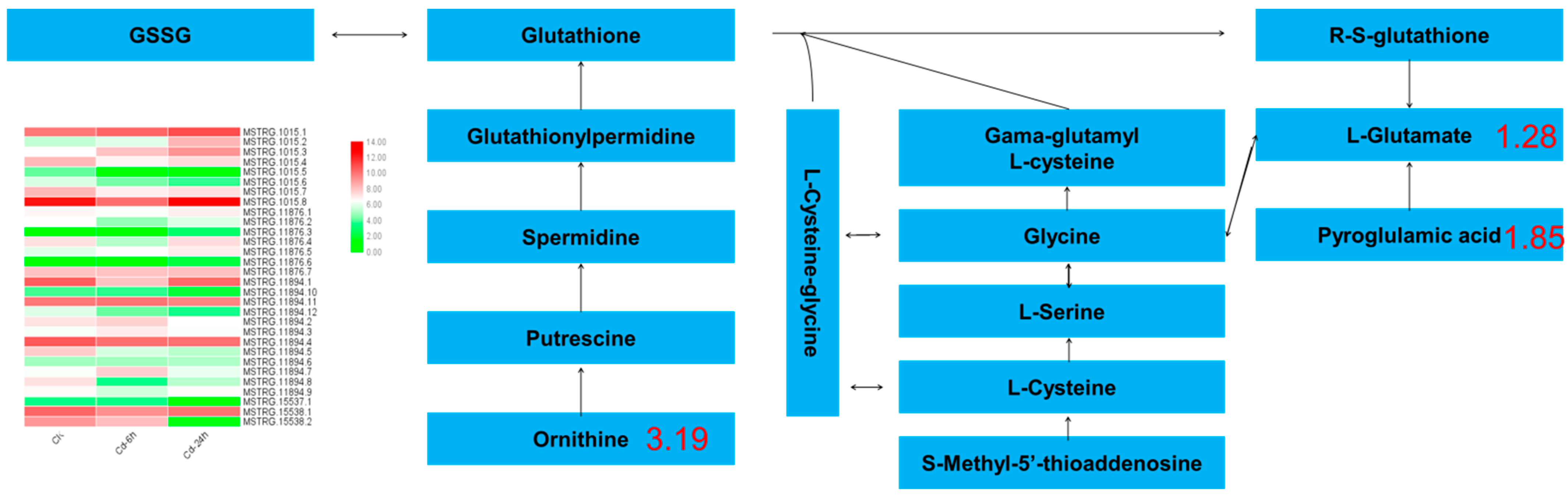 Genes 14 01462 g007 Genes 14 01462 g007