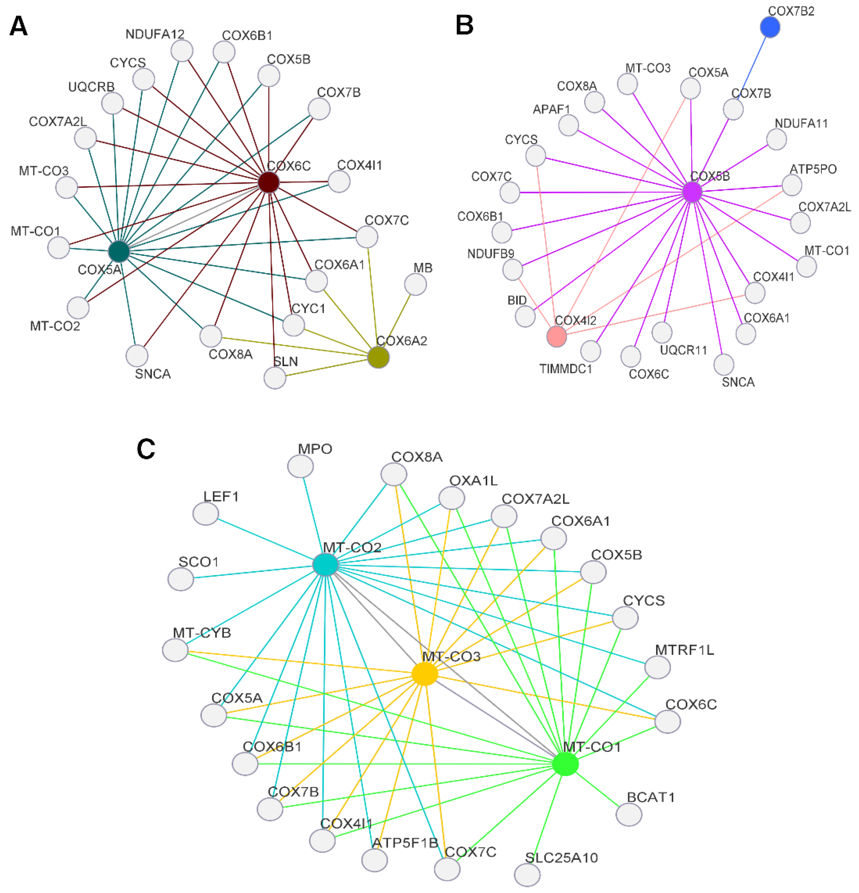 Genes 14 01465 g001 Genes 14 01465 g001