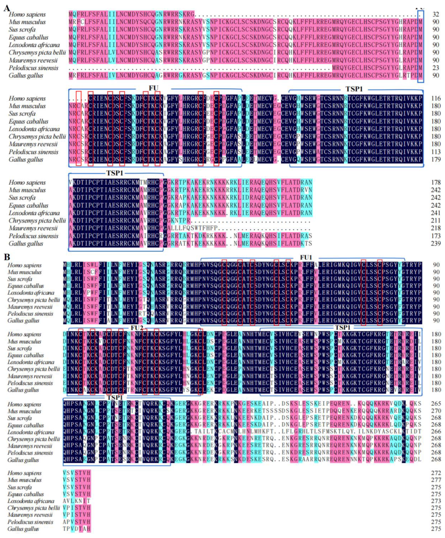 Genes 14 01466 g002 Genes 14 01466 g002