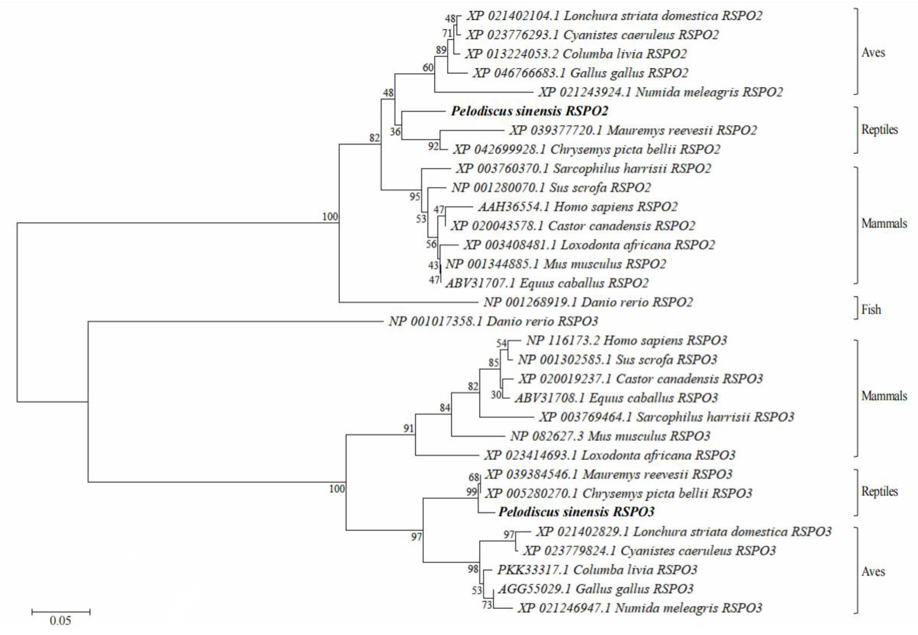 Genes 14 01466 g003 Genes 14 01466 g003