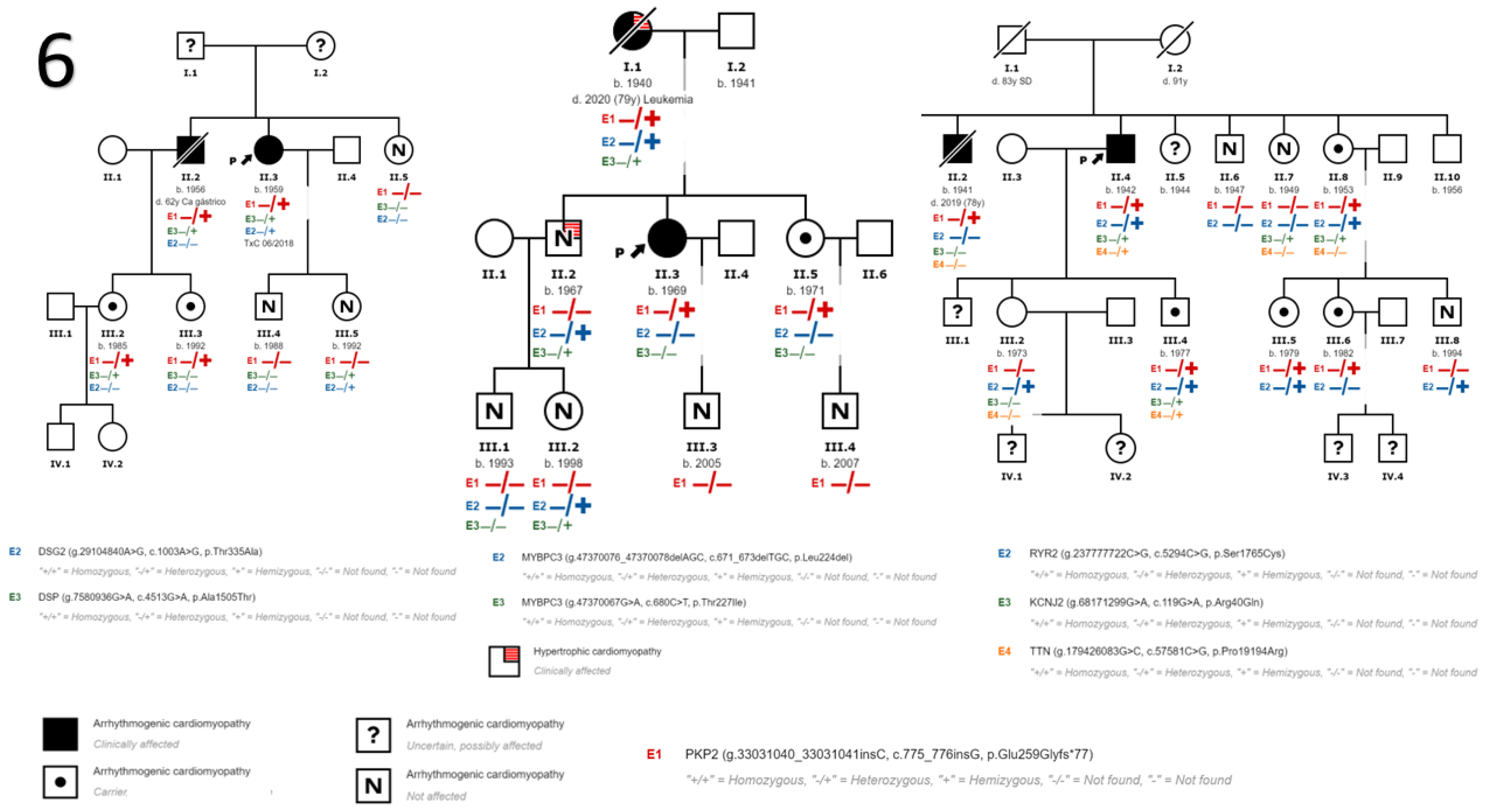 Genes 14 01468 g002 Genes 14 01468 g002