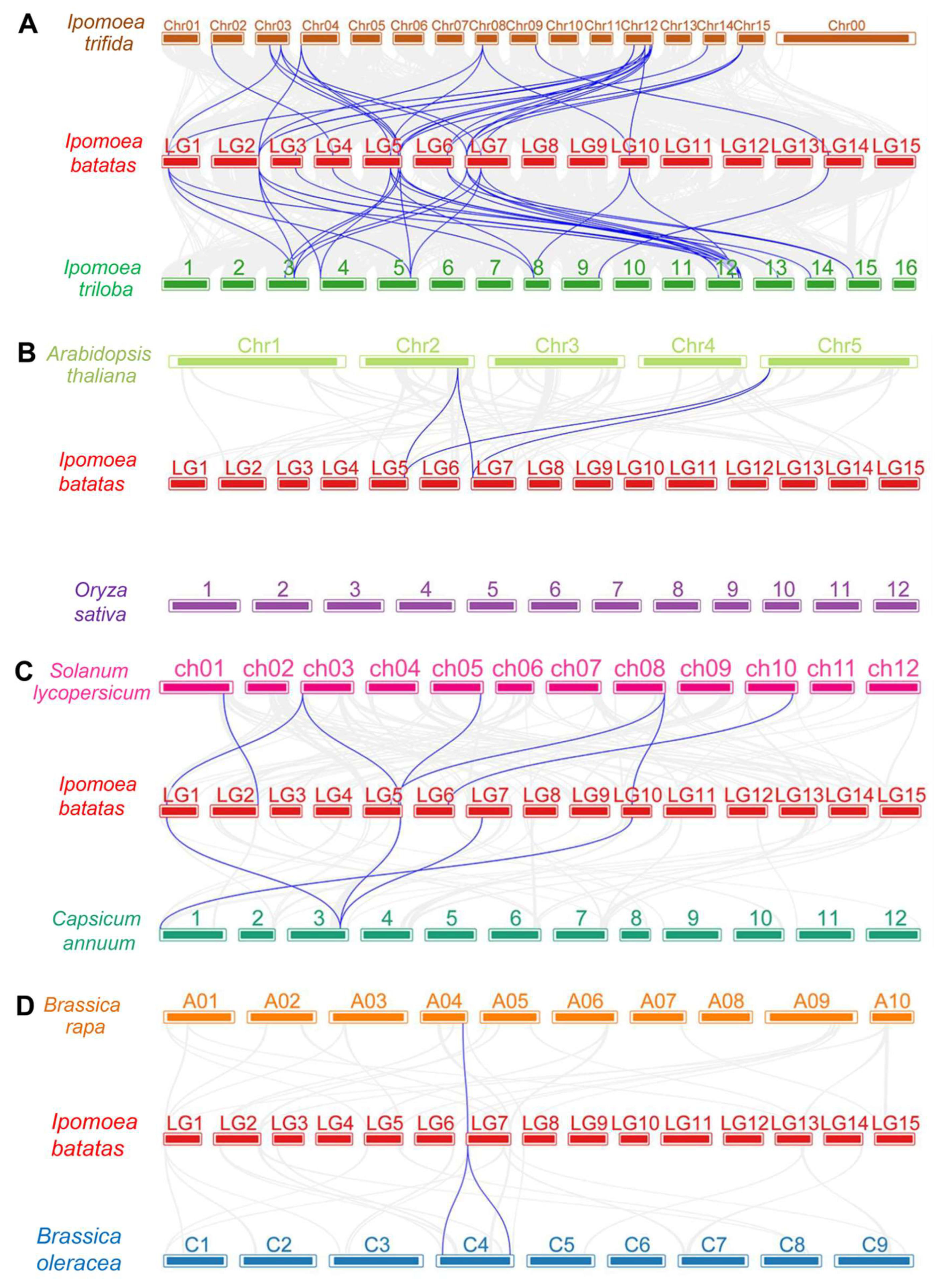 Genes 14 01471 g003