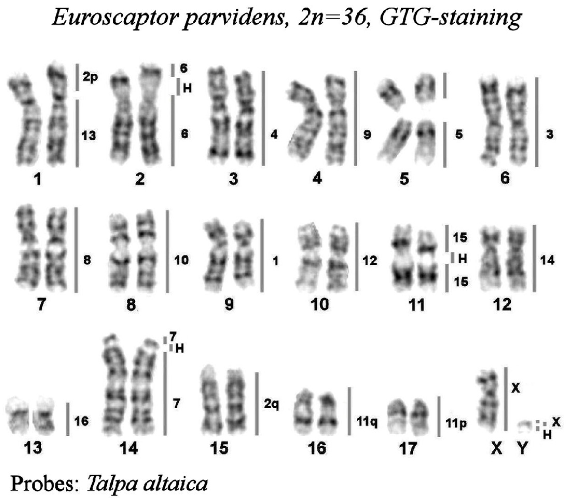 Genes 14 01472 g002 Genes 14 01472 g002