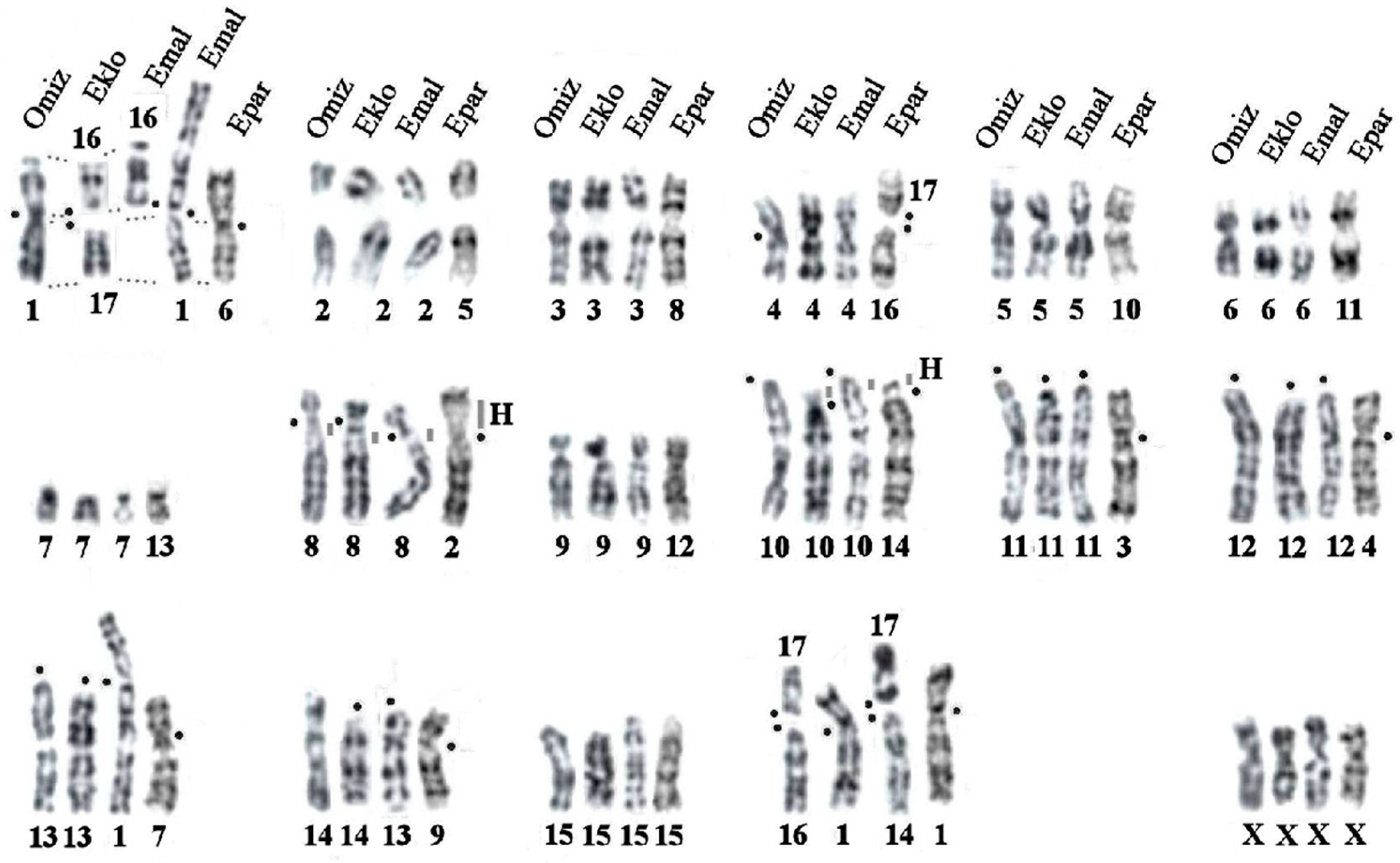 Genes 14 01472 g003 Genes 14 01472 g003
