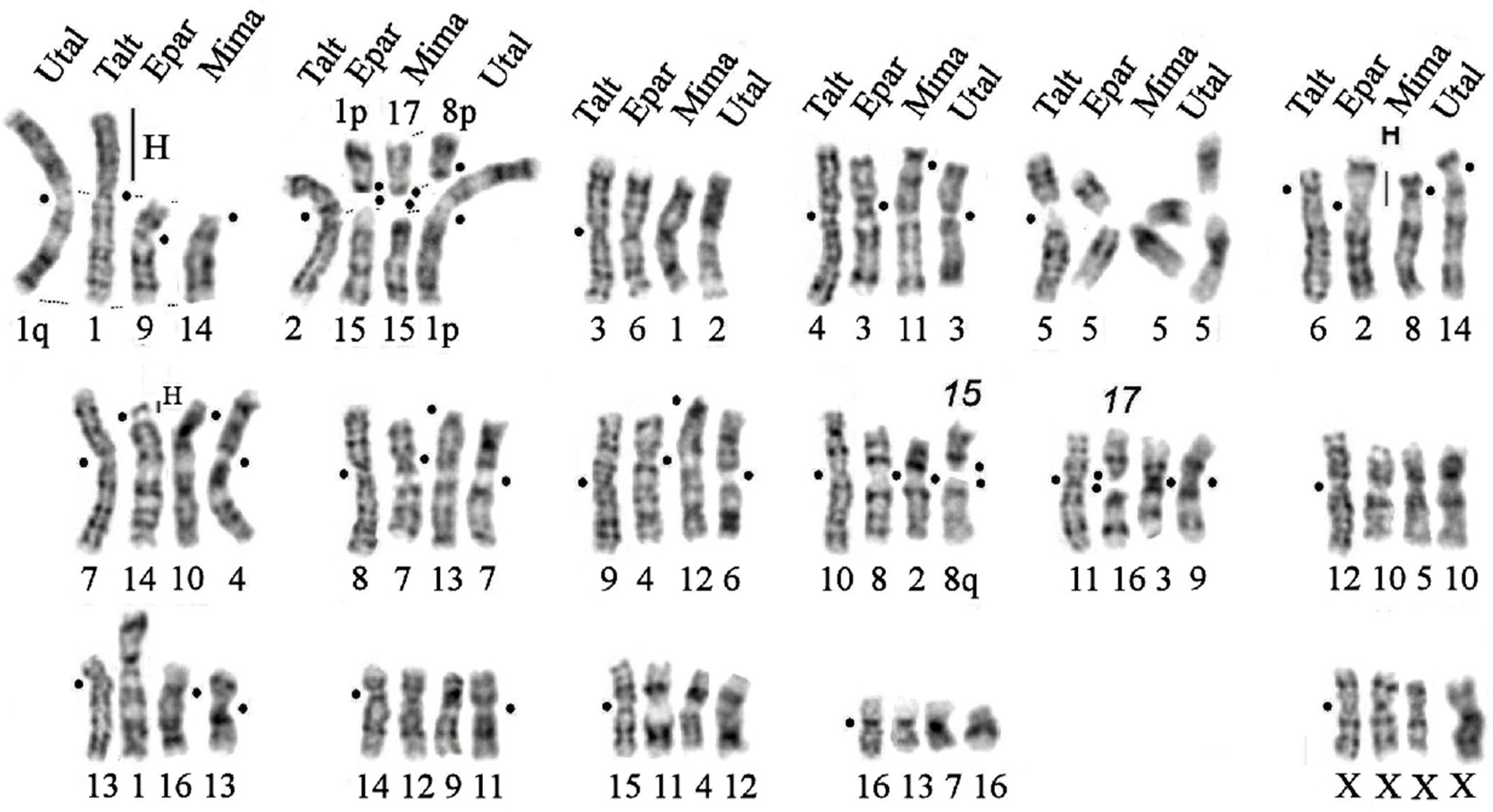 Genes 14 01472 g007 Genes 14 01472 g007