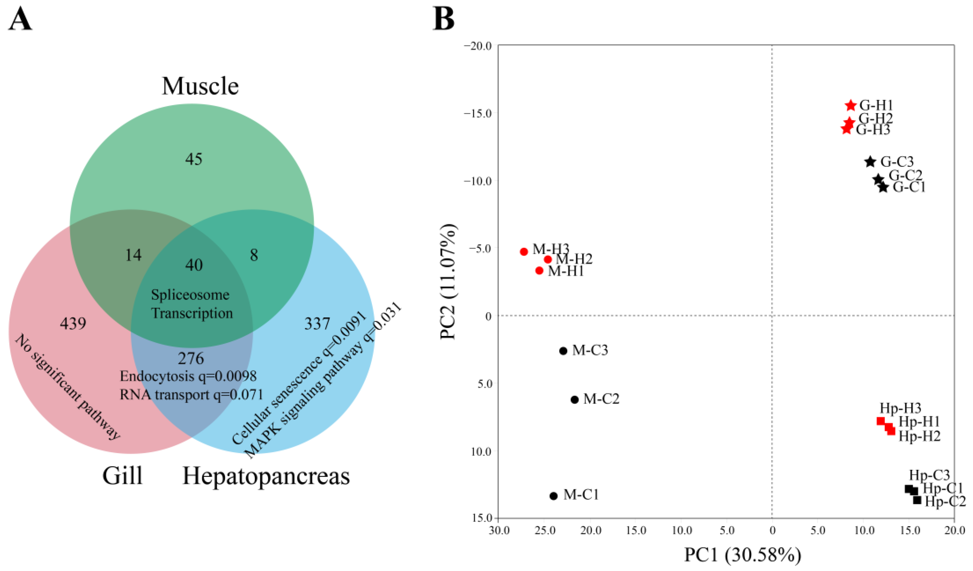 Genes 14 01473 g004