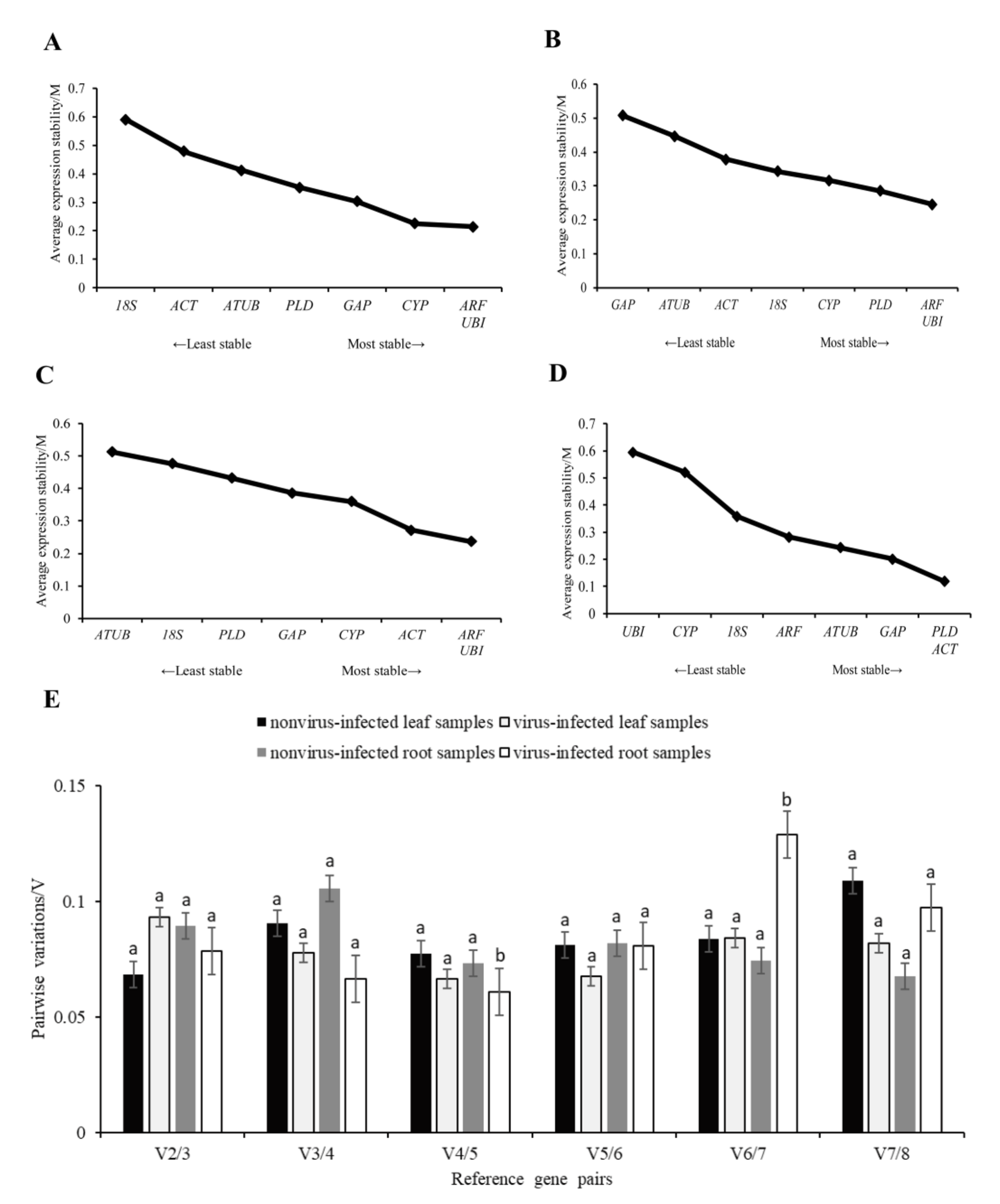 Genes 14 01477 g004