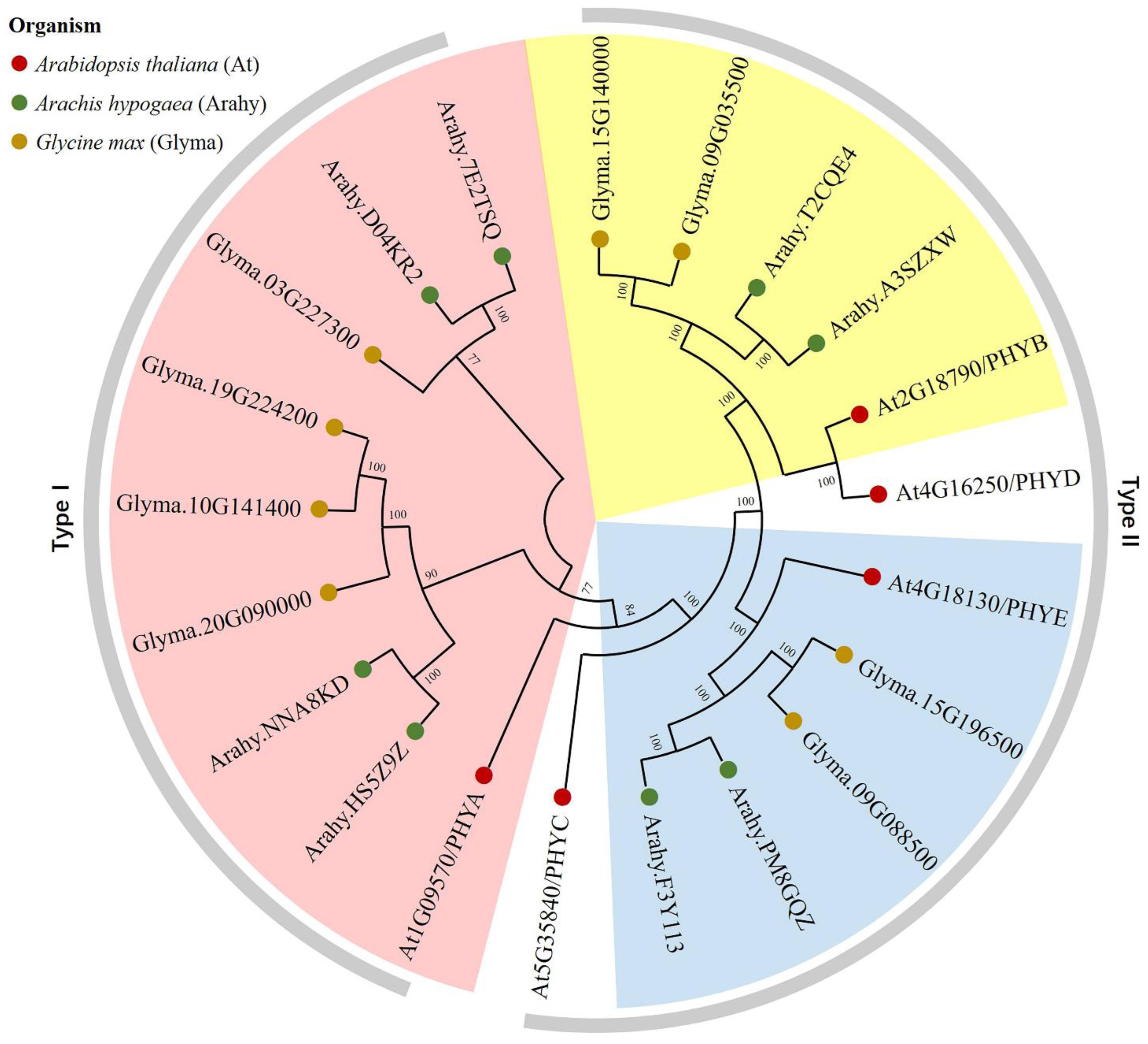 Genes 14 01478 g001 Genes 14 01478 g001