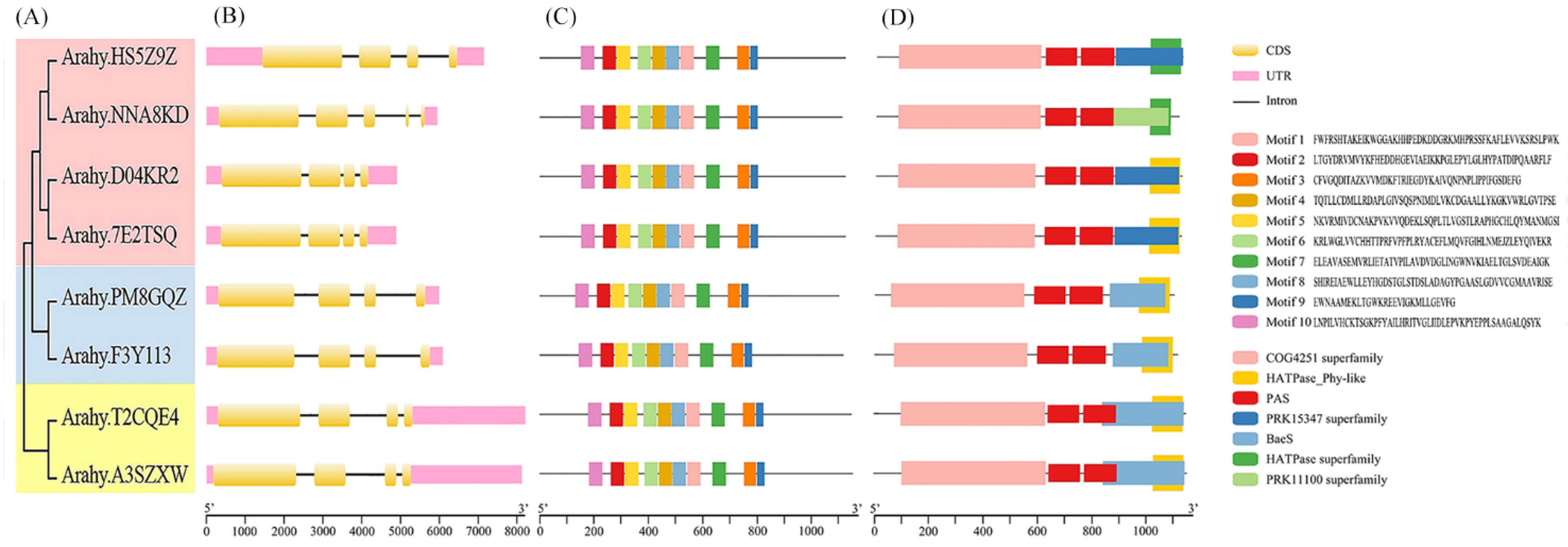 Genes 14 01478 g002 Genes 14 01478 g002