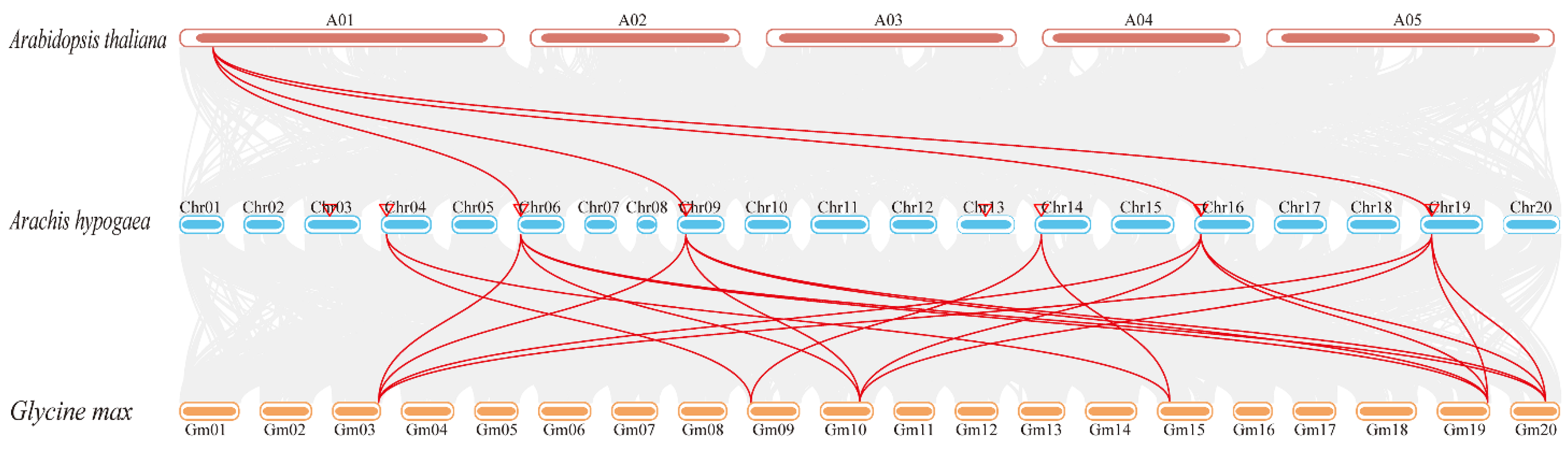 Genes 14 01478 g005 Genes 14 01478 g005