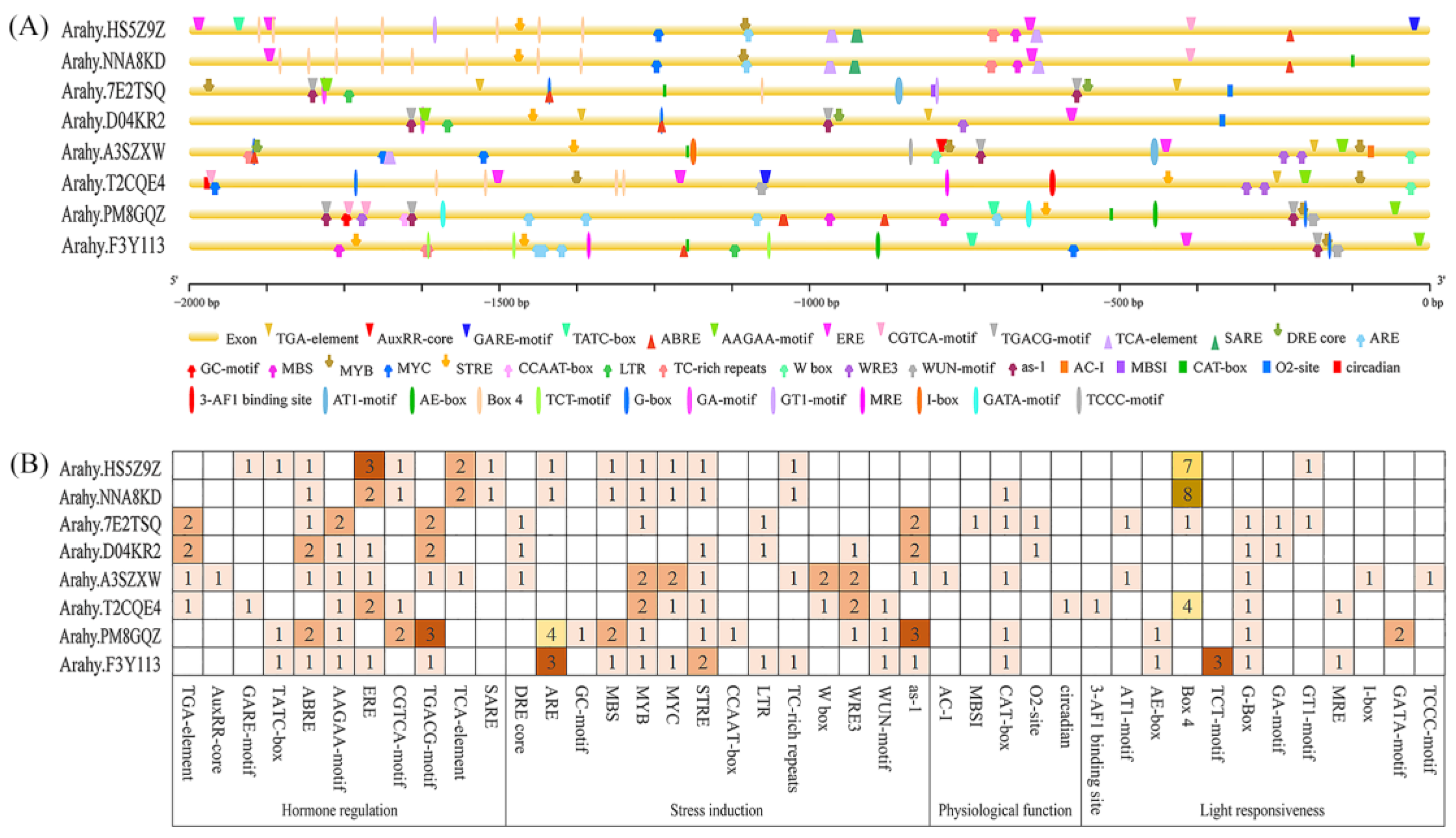 Genes 14 01478 g006 Genes 14 01478 g006